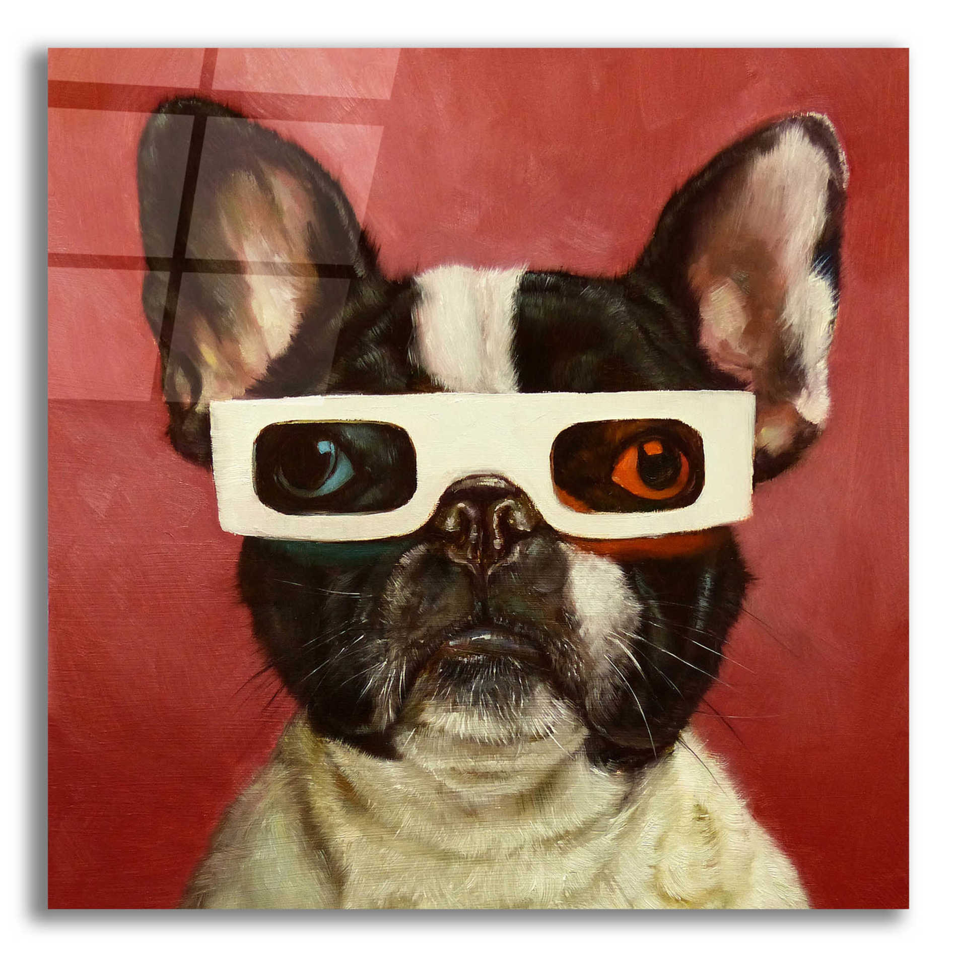 Epic Art '3D Dog' by Lucia Heffernan, Acrylic Glass Wall Art,12x12