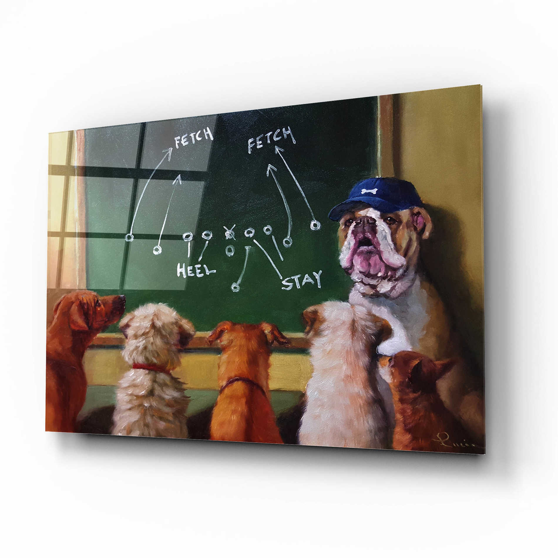 Epic Art 'Game Plan' by Lucia Heffernan, Acrylic Glass Wall Art,16x12