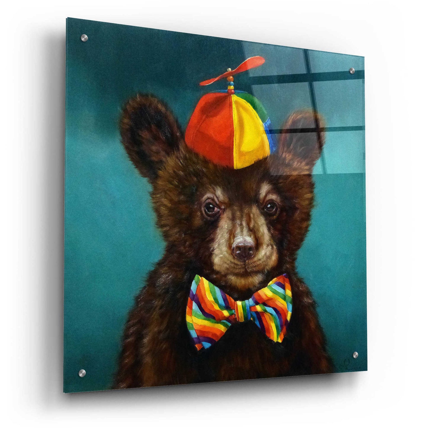 Epic Art 'Baby Bear' by Lucia Heffernan, Acrylic Glass Wall Art,24x24