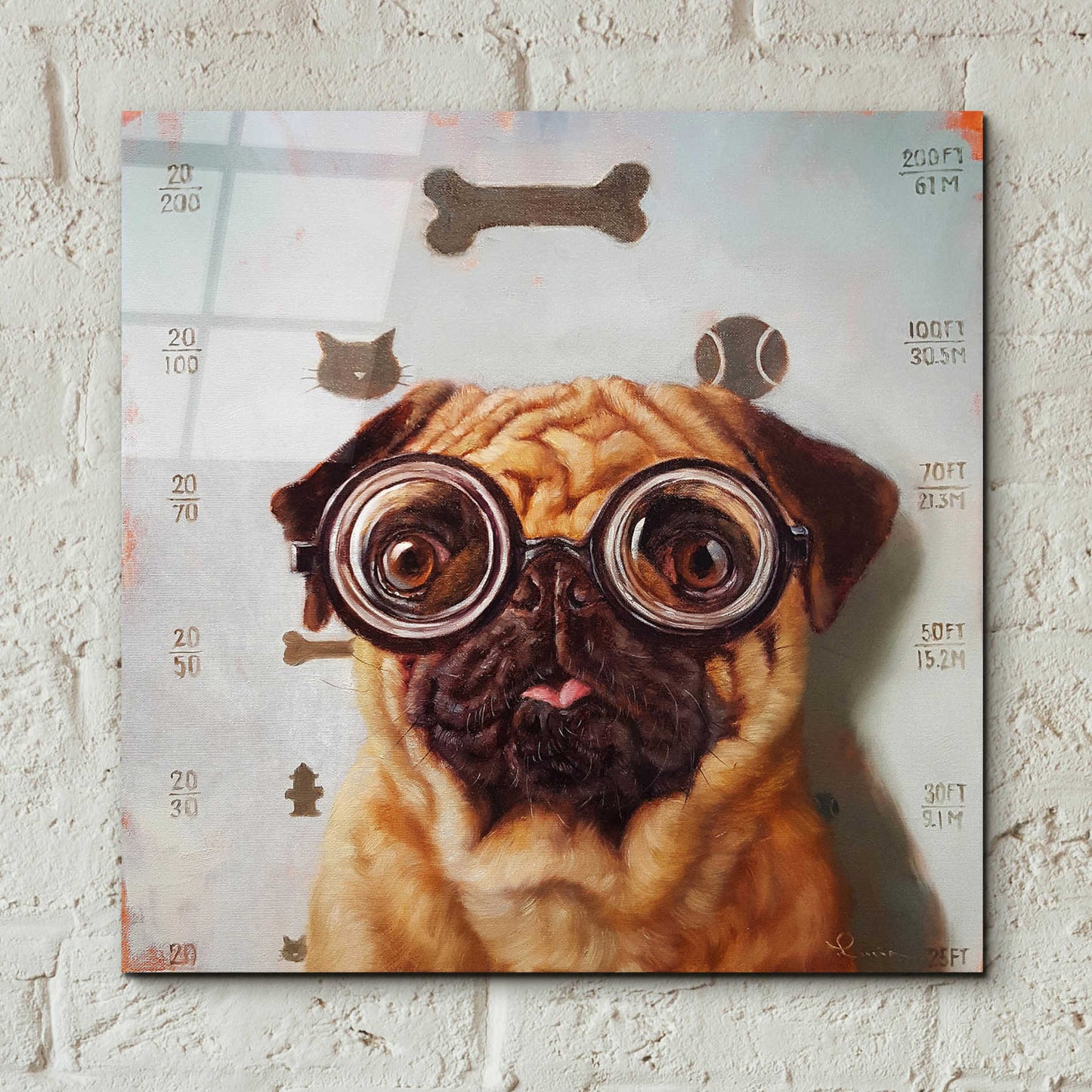 Epic Art 'Canine Eye Exam' by Lucia Heffernan, Acrylic Glass Wall Art,12x12