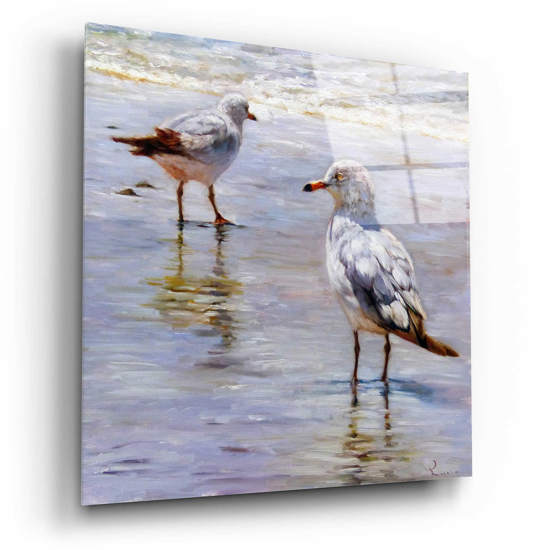 Epic Art 'Waders' by Lucia Heffernan, Acrylic Glass Wall Art,12x12