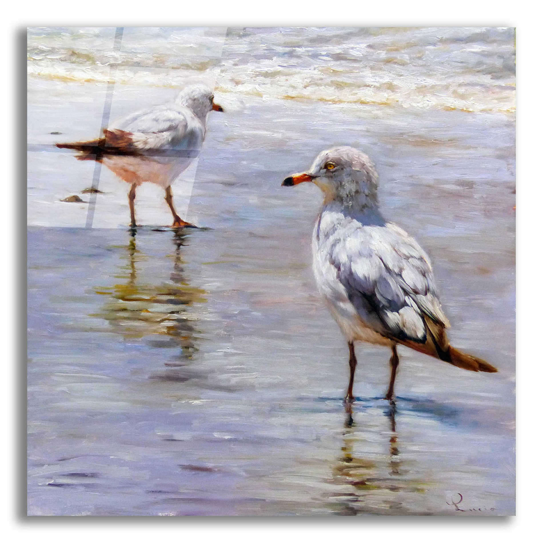 Epic Art 'Waders' by Lucia Heffernan, Acrylic Glass Wall Art,12x12