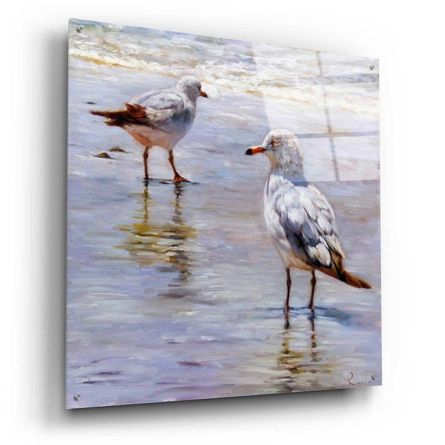 Epic Art 'Waders' by Lucia Heffernan, Acrylic Glass Wall Art,36x36