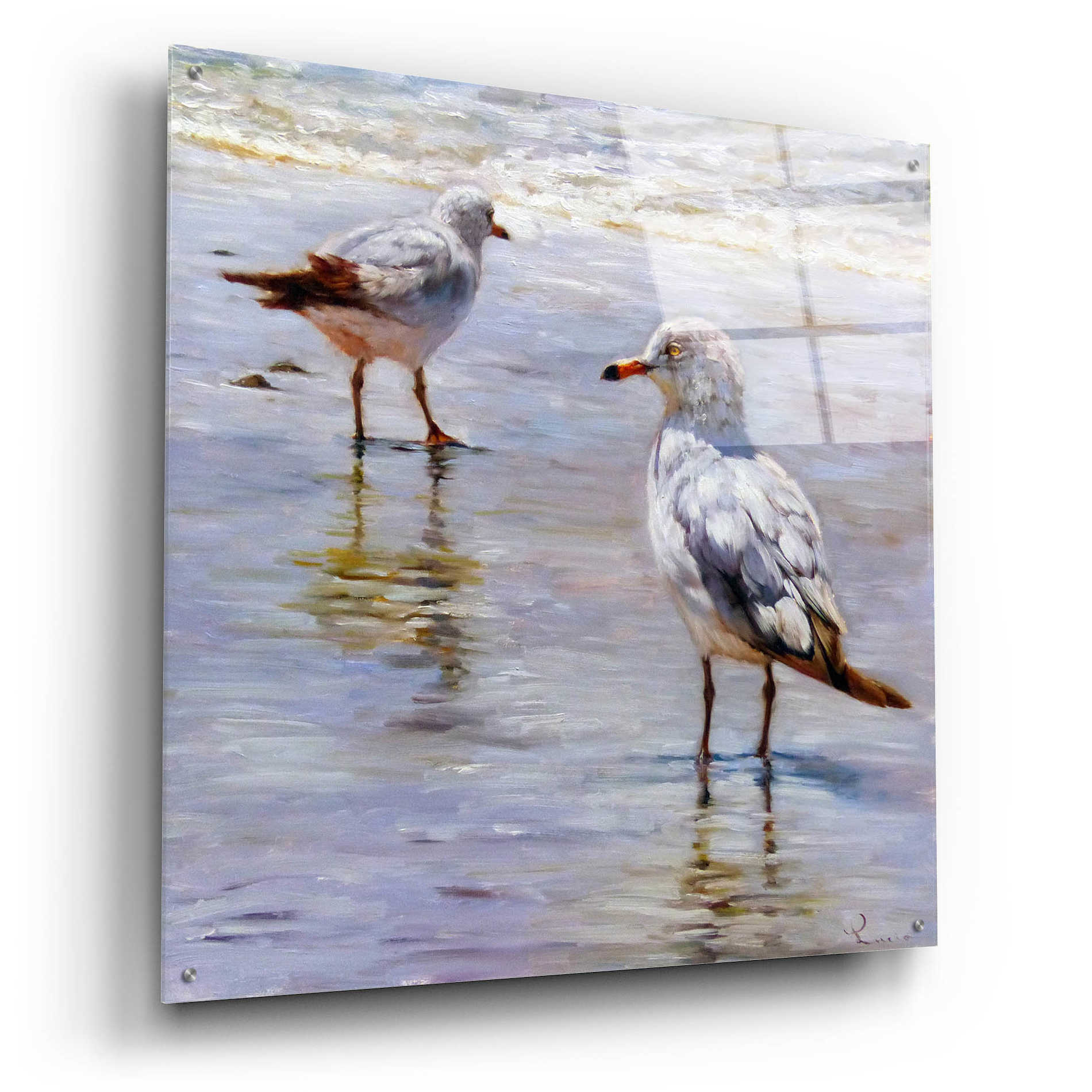 Epic Art 'Waders' by Lucia Heffernan, Acrylic Glass Wall Art,36x36