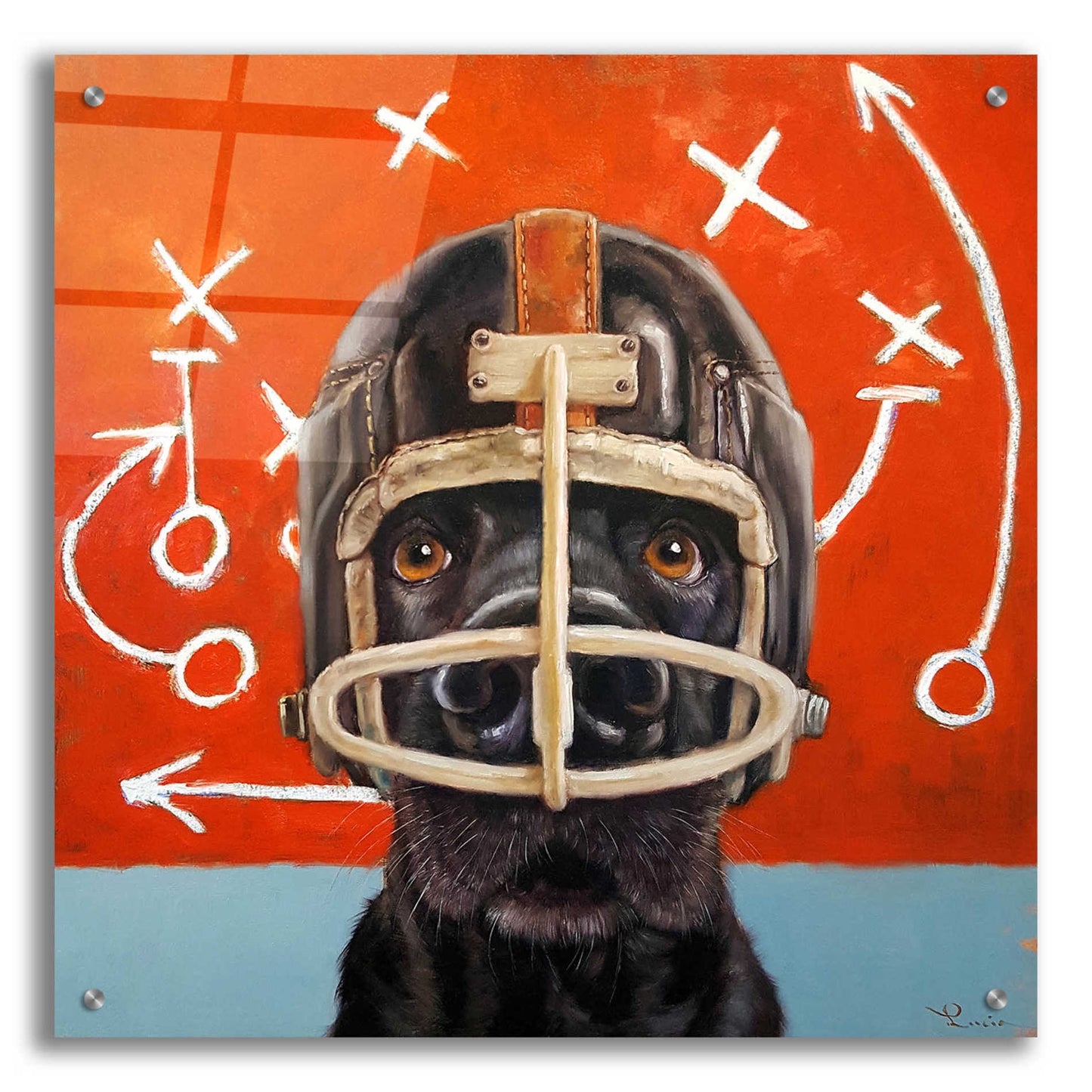 Epic Art 'Rookie' by Lucia Heffernan, Acrylic Glass Wall Art,24x24