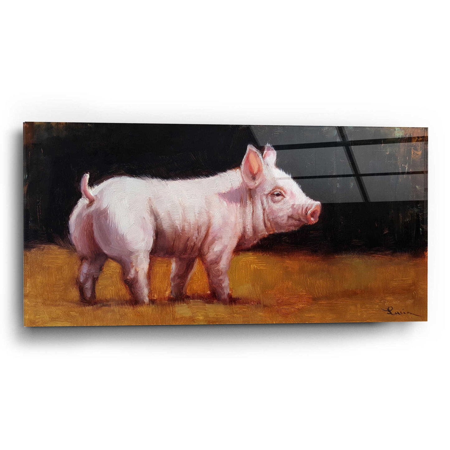 Epic Art 'Wilbur' by Lucia Heffernan, Acrylic Glass Wall Art,24x12