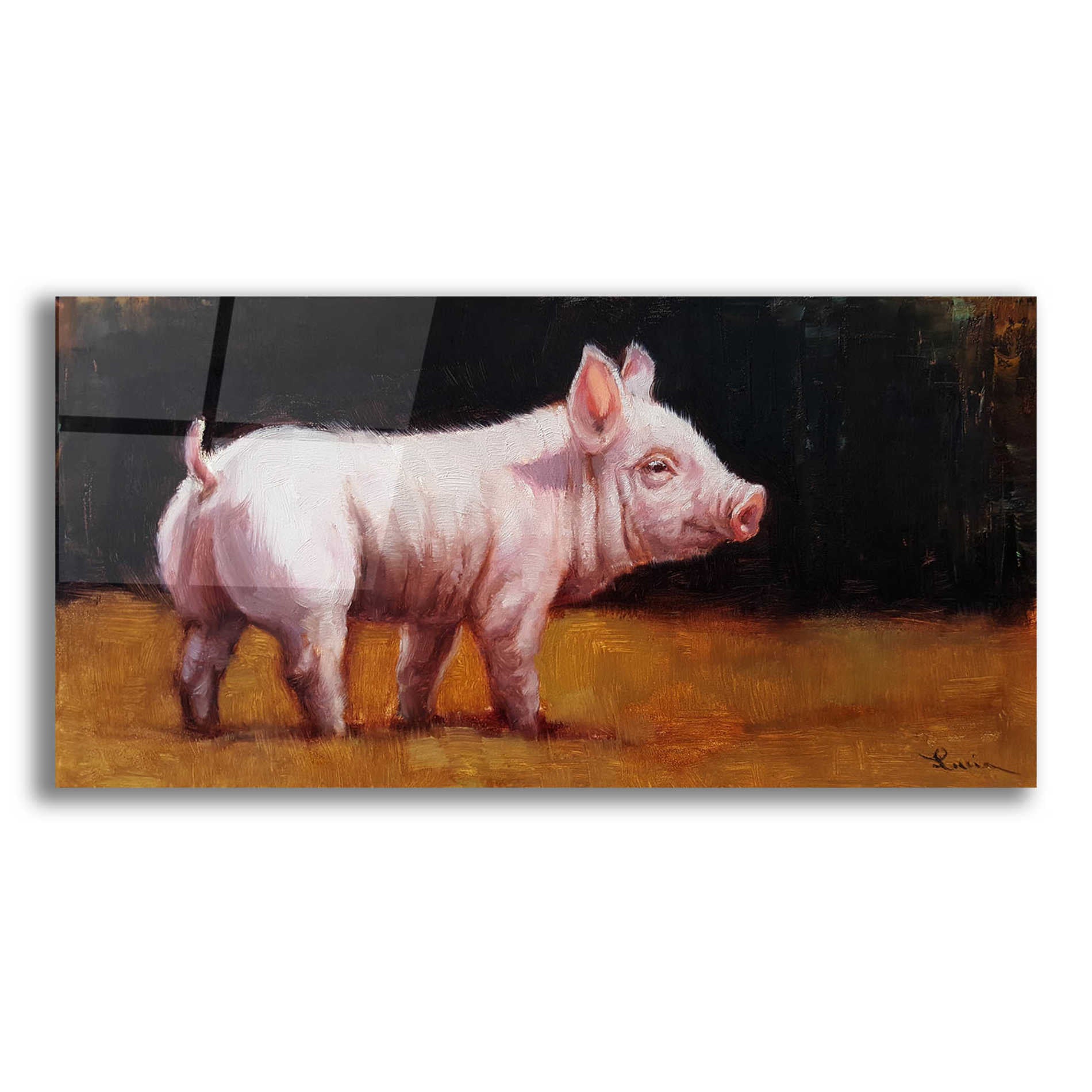 Epic Art 'Wilbur' by Lucia Heffernan, Acrylic Glass Wall Art,24x12