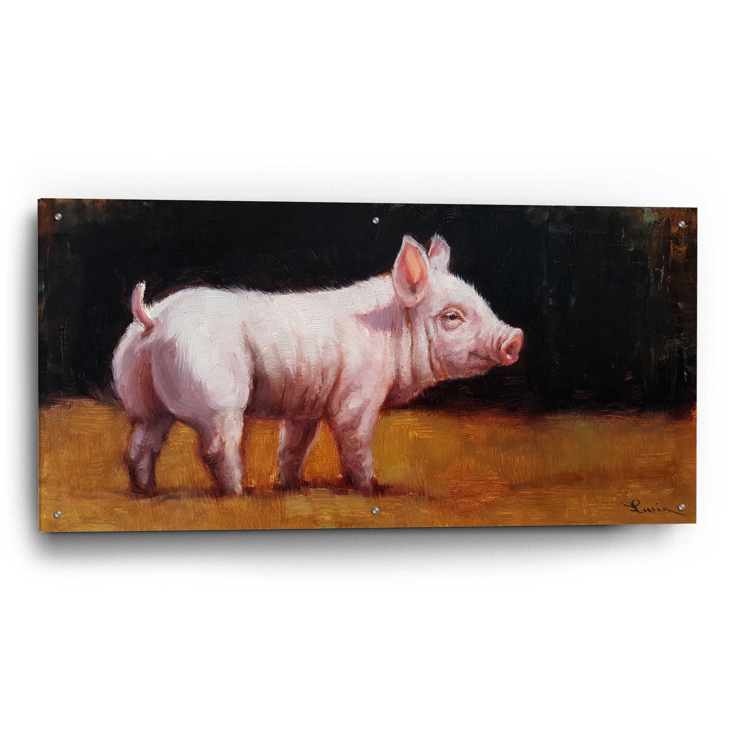 Epic Art 'Wilbur' by Lucia Heffernan, Acrylic Glass Wall Art,48x24