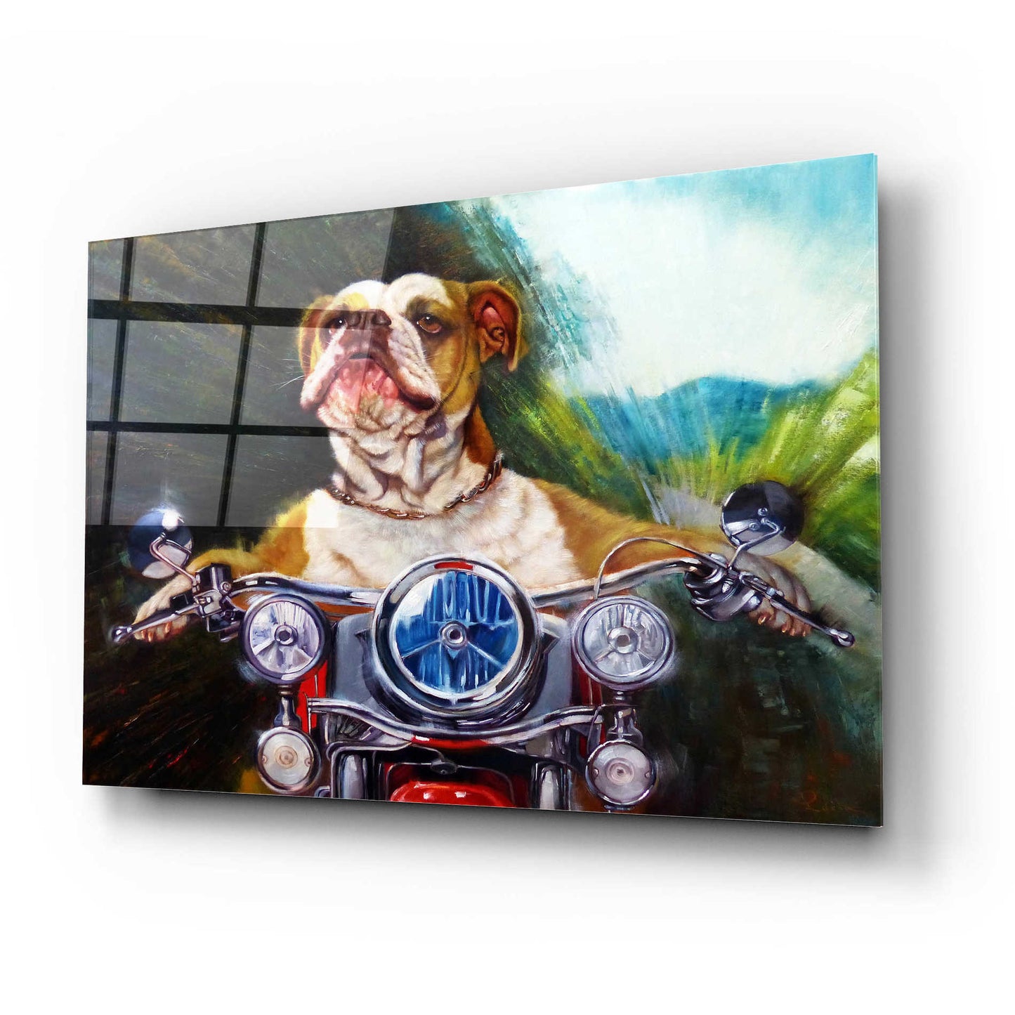 Epic Art 'Born To Be Wild' by Lucia Heffernan, Acrylic Glass Wall Art,24x16