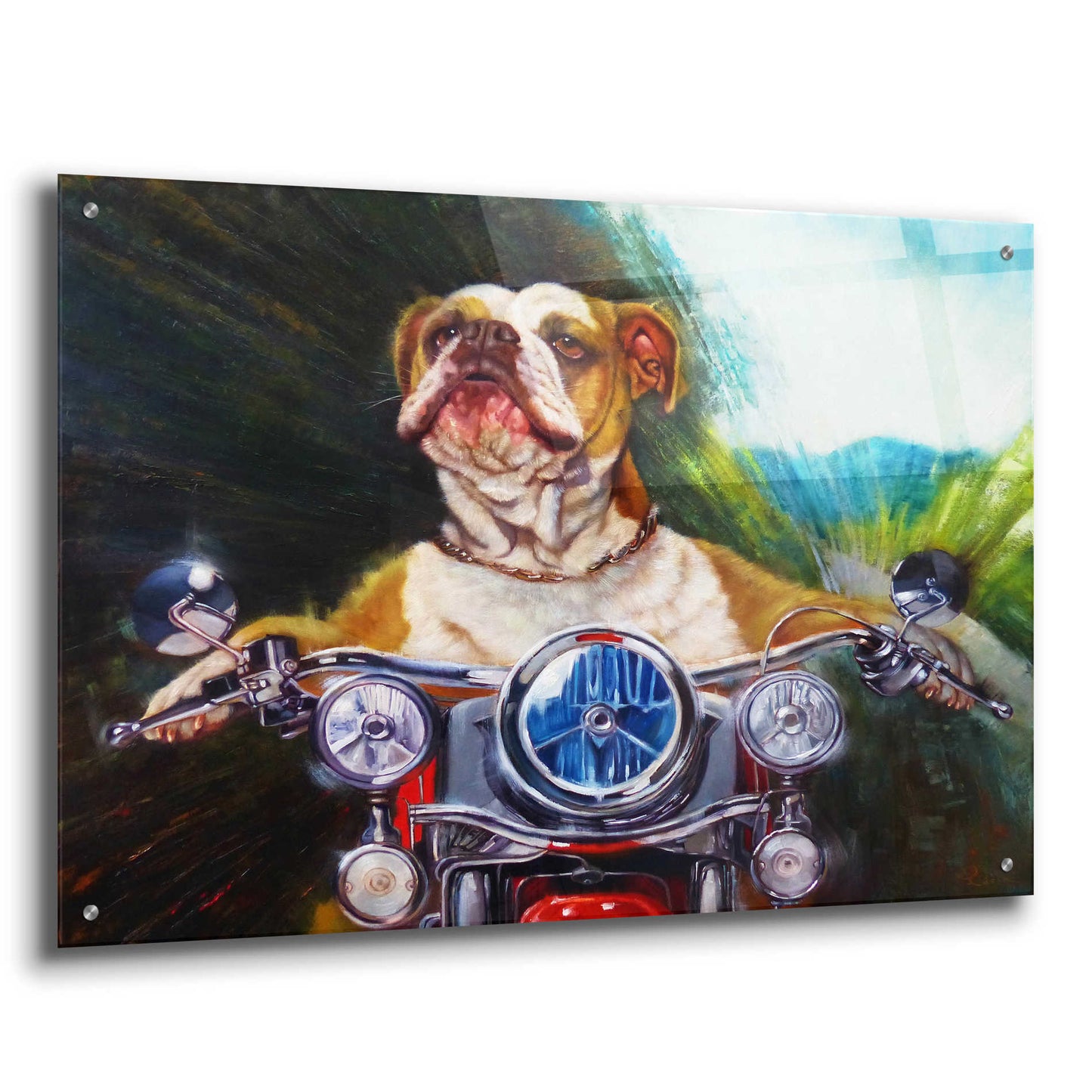 Epic Art 'Born To Be Wild' by Lucia Heffernan, Acrylic Glass Wall Art,36x24