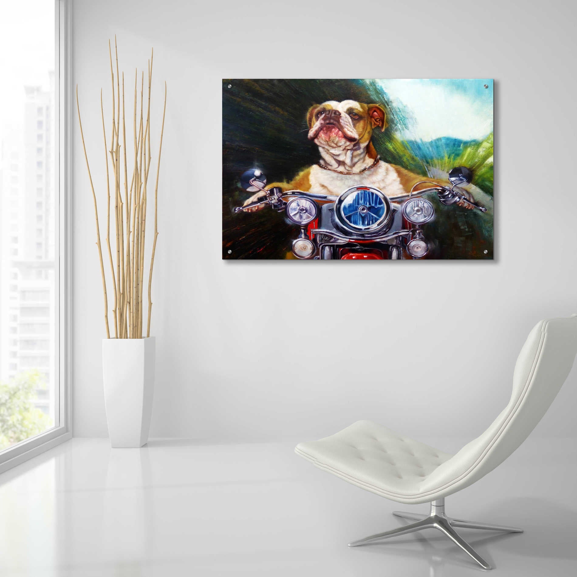 Epic Art 'Born To Be Wild' by Lucia Heffernan, Acrylic Glass Wall Art,36x24