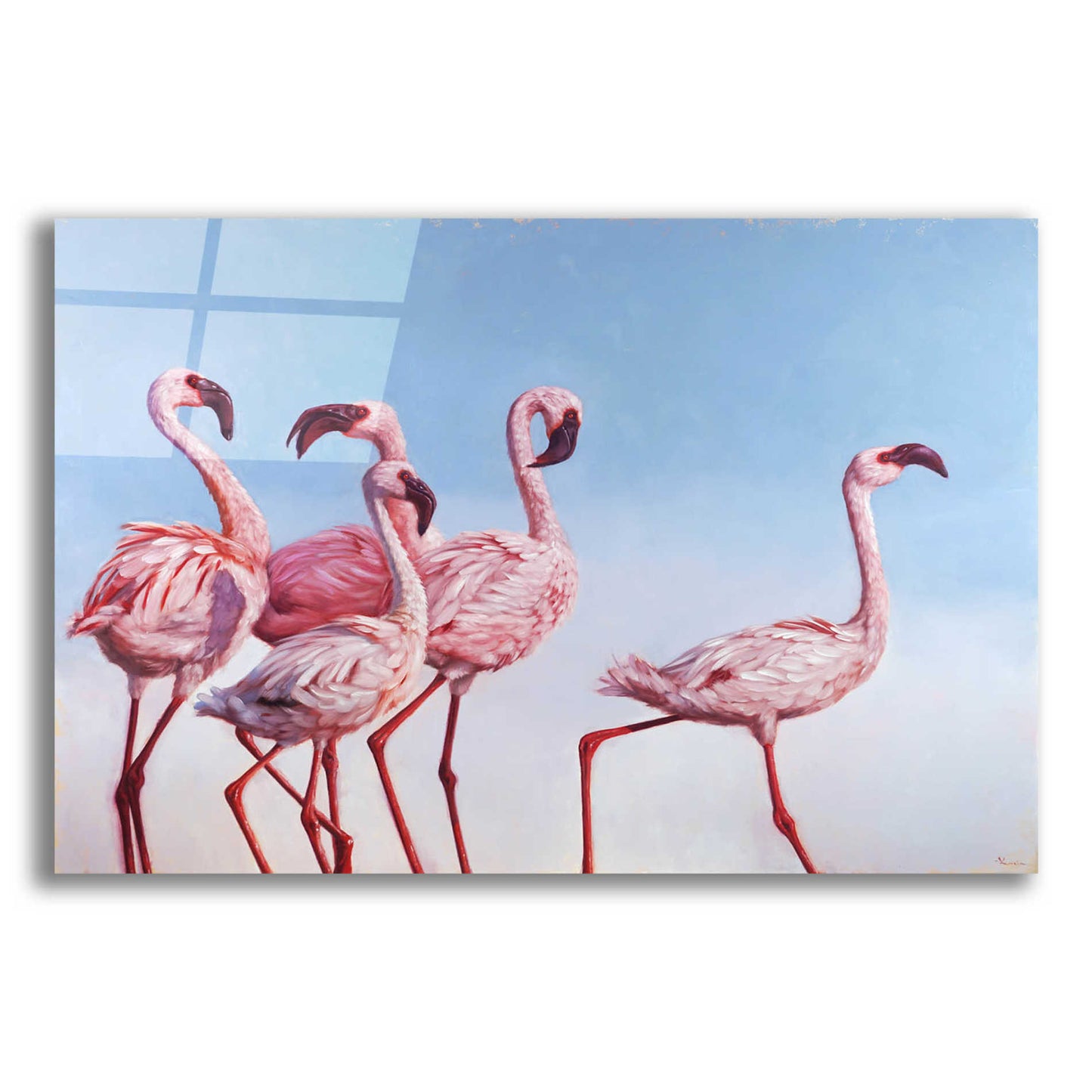 Epic Art 'Pink Ladies' by Lucia Heffernan, Acrylic Glass Wall Art,16x12