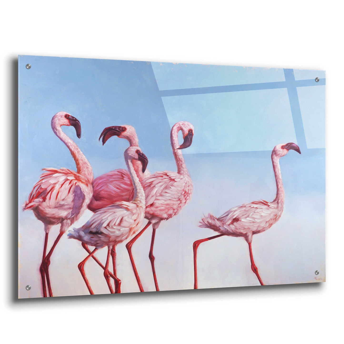 Epic Art 'Pink Ladies' by Lucia Heffernan, Acrylic Glass Wall Art,36x24