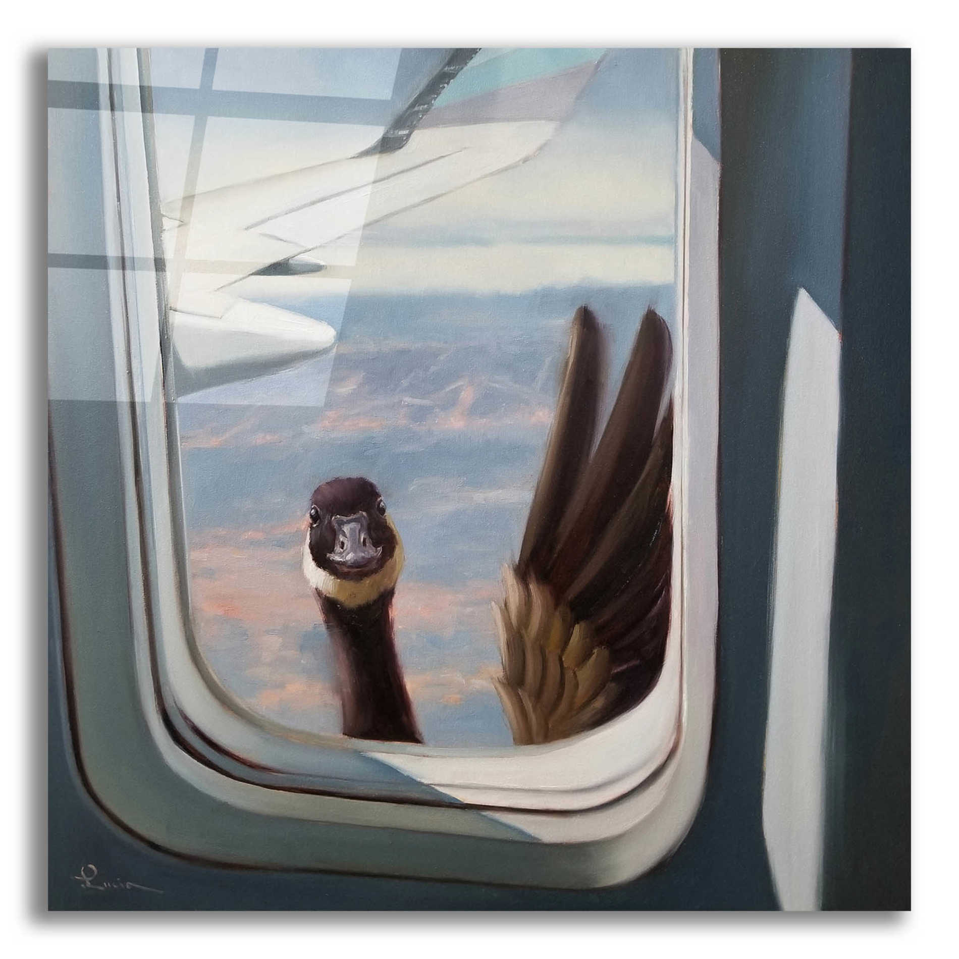 Epic Art 'Friendly Skies' by Lucia Heffernan, Acrylic Glass Wall Art,12x12