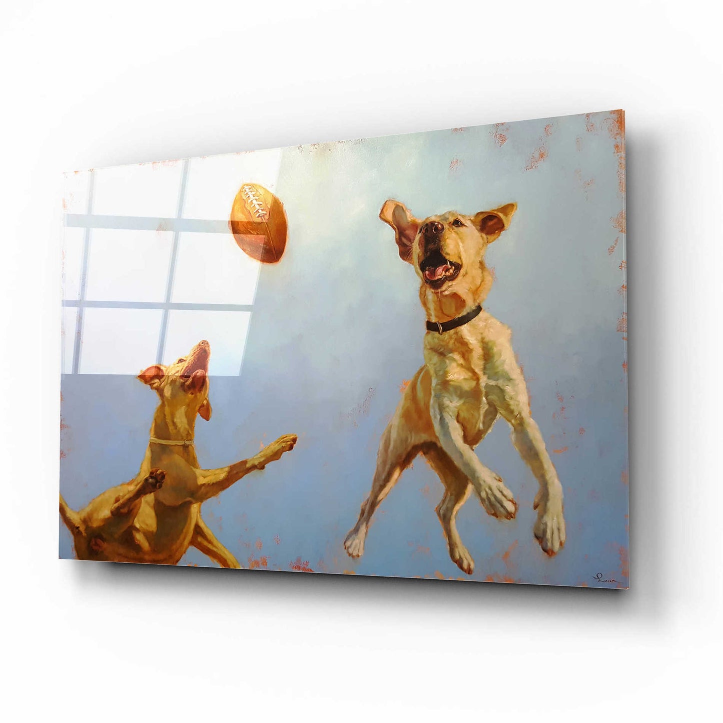 Epic Art 'Game Point' by Lucia Heffernan, Acrylic Glass Wall Art,16x12