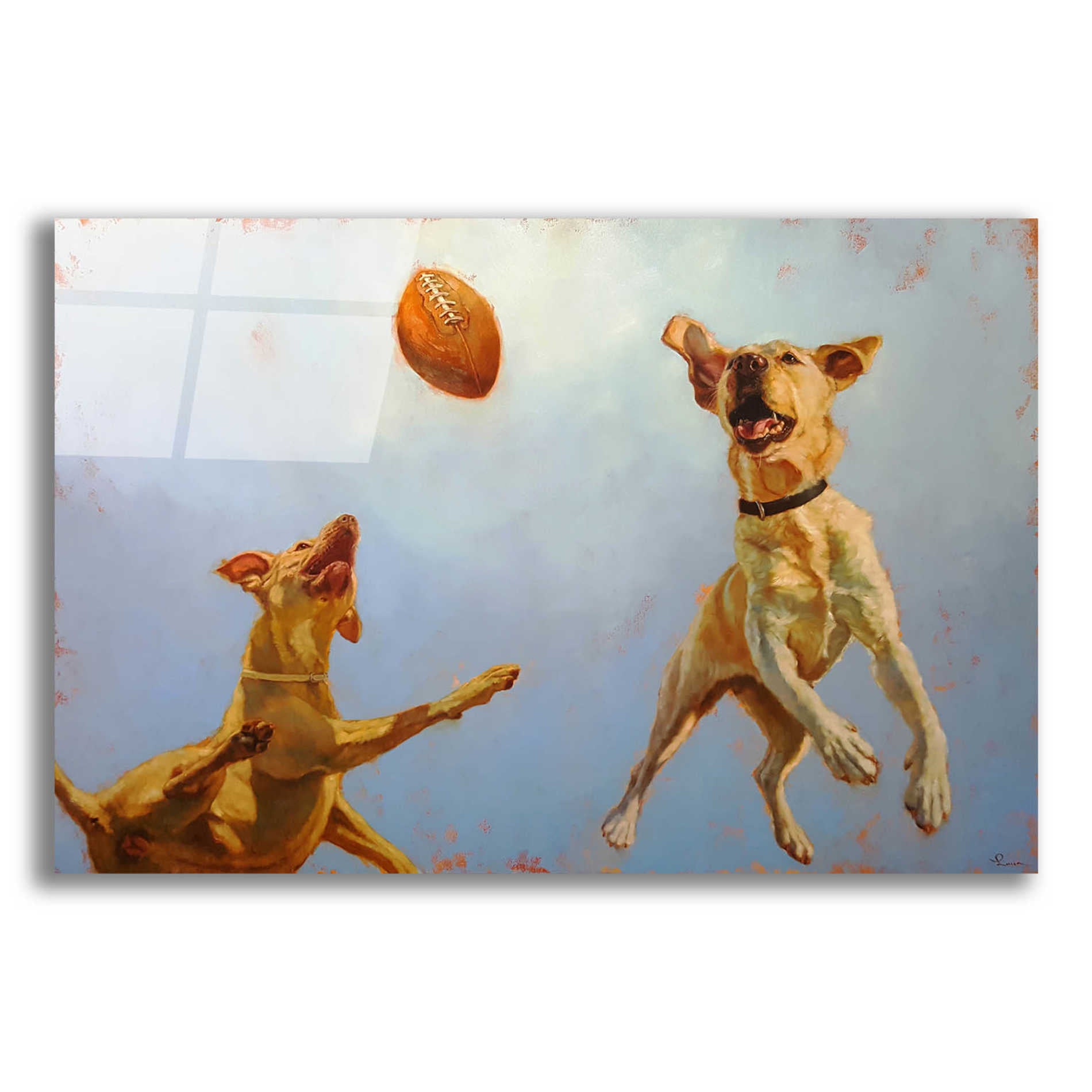 Epic Art 'Game Point' by Lucia Heffernan, Acrylic Glass Wall Art,16x12