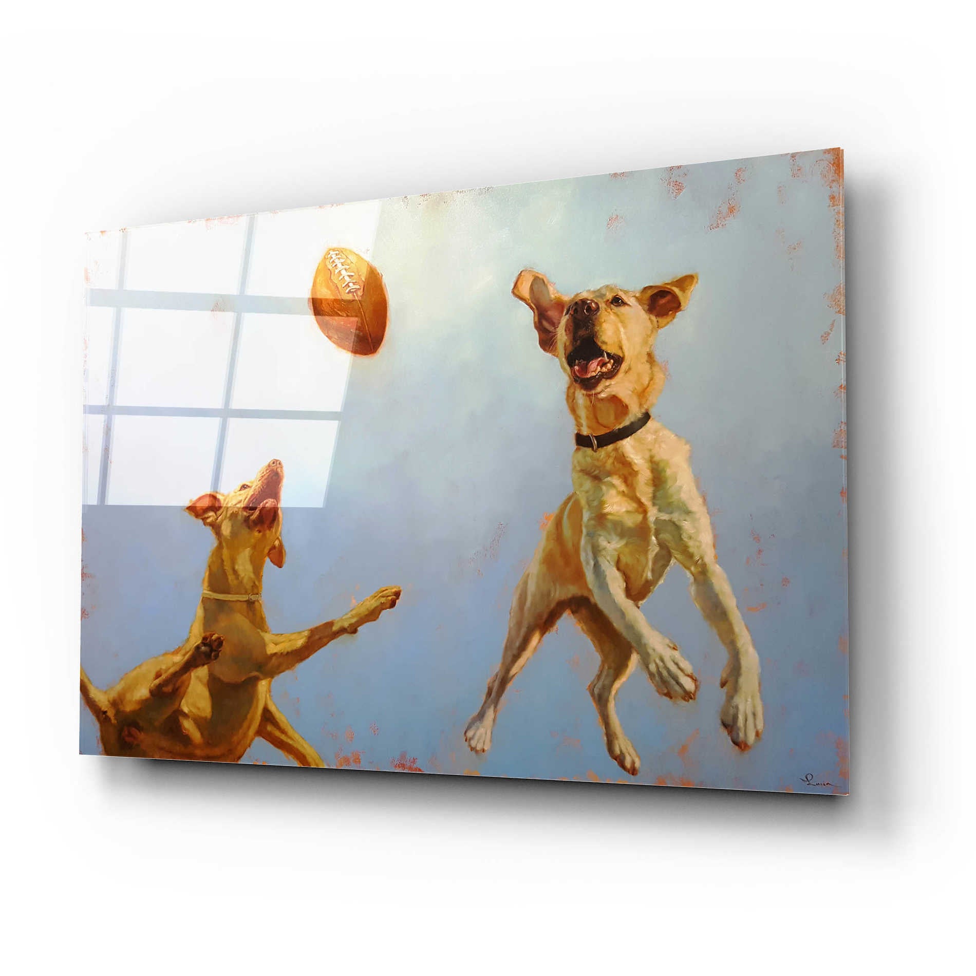 Epic Art 'Game Point' by Lucia Heffernan, Acrylic Glass Wall Art,24x16