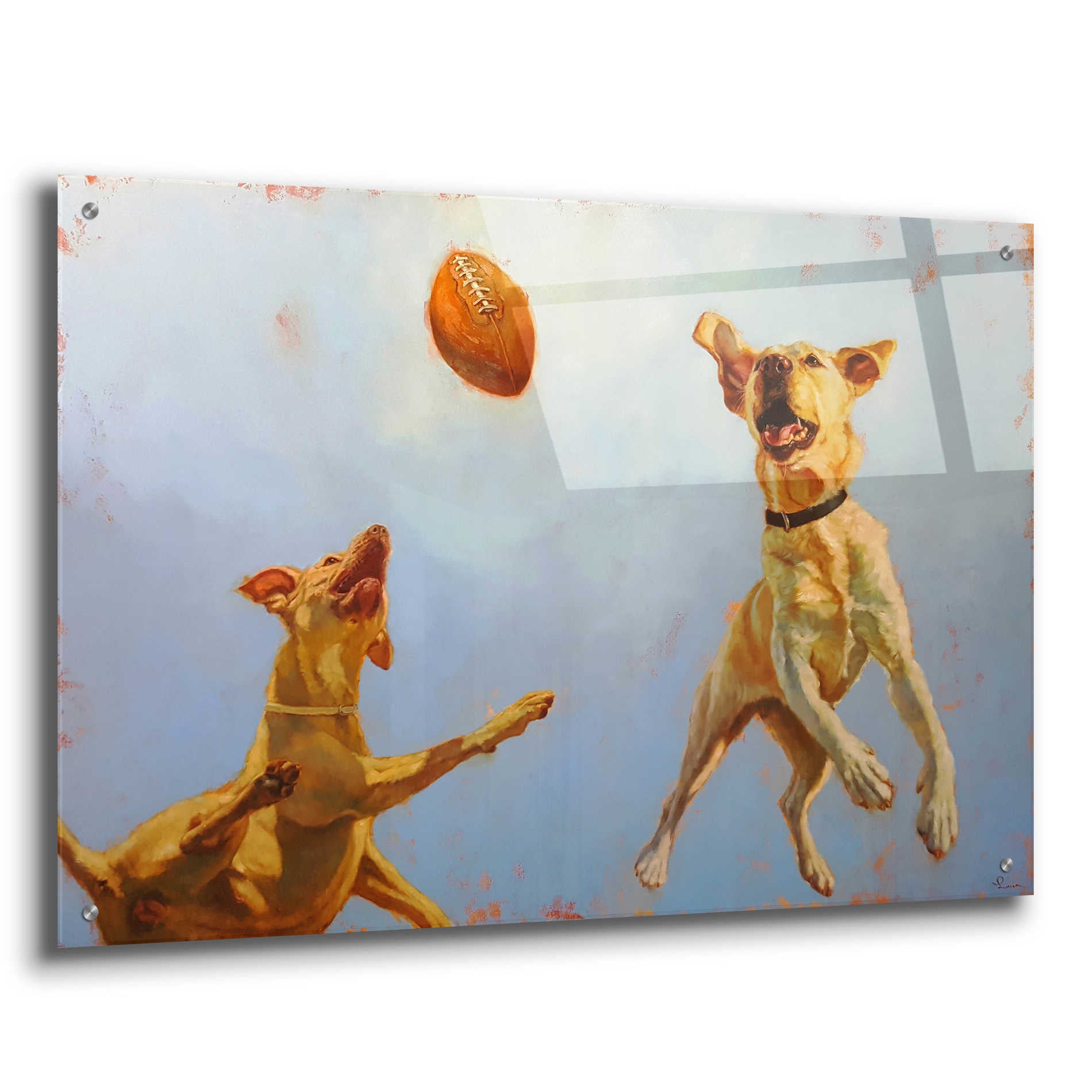 Epic Art 'Game Point' by Lucia Heffernan, Acrylic Glass Wall Art,36x24