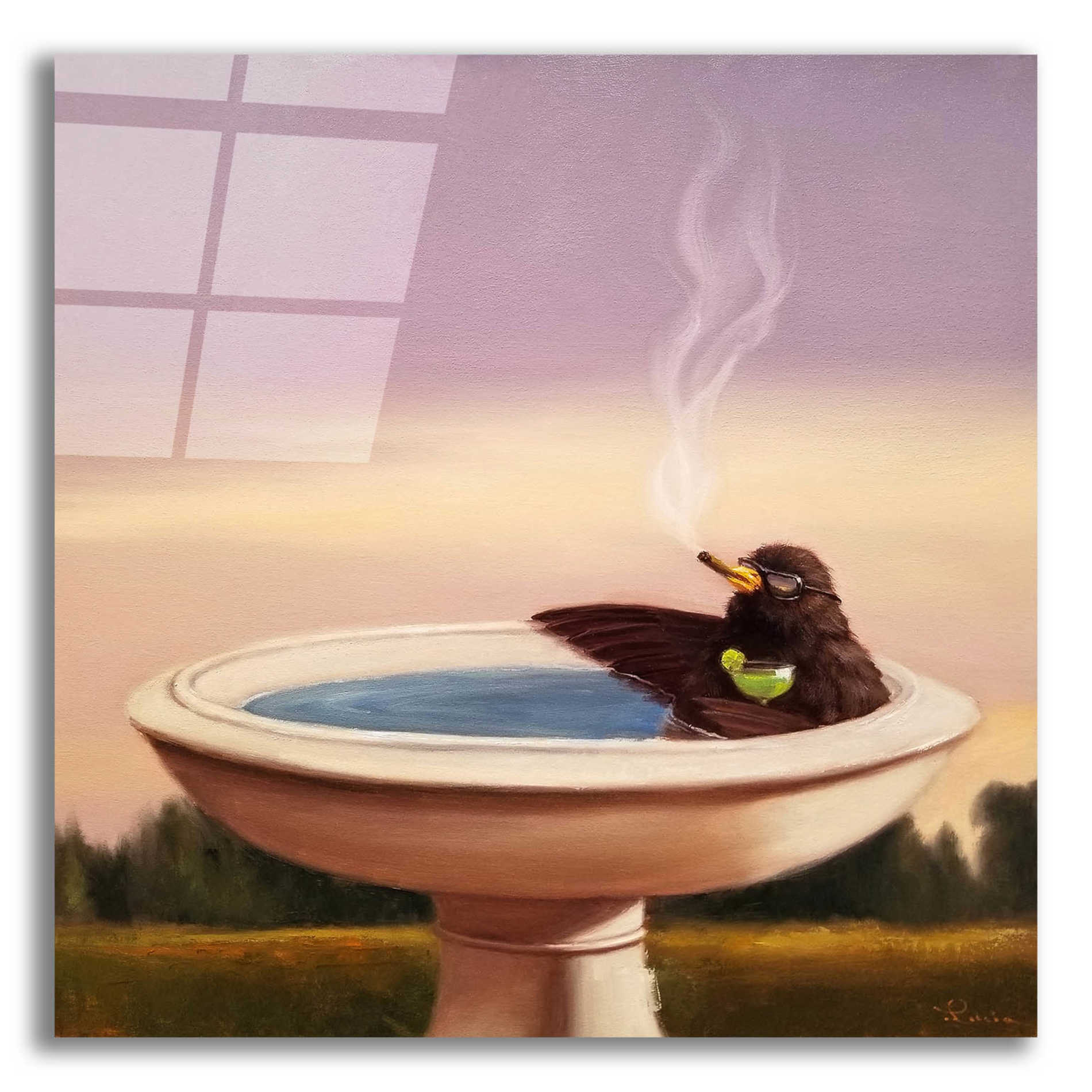 Epic Art 'Executive Soak' by Lucia Heffernan, Acrylic Glass Wall Art,12x12