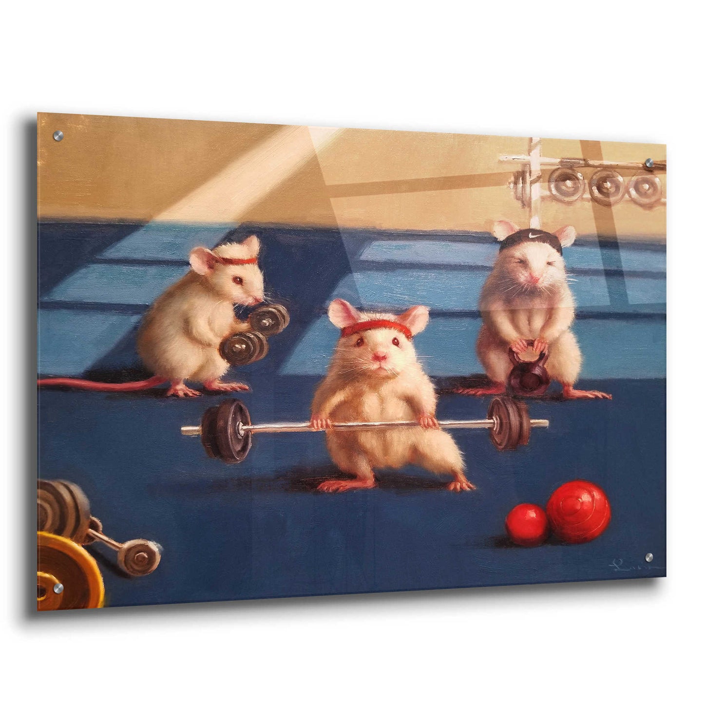 Epic Art 'Gym Rats' by Lucia Heffernan, Acrylic Glass Wall Art,36x24