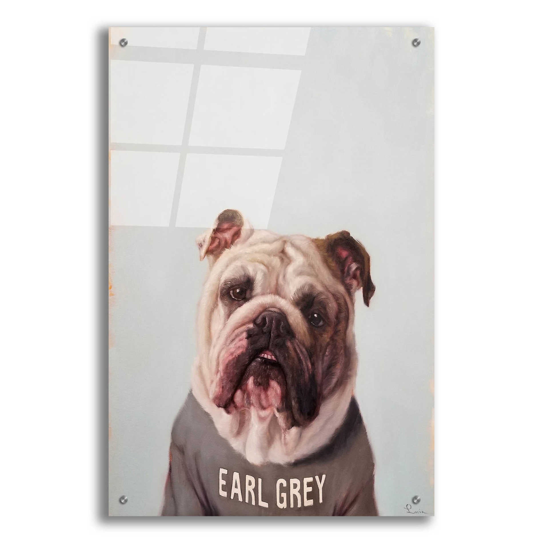 Epic Art 'Earl Gray' by Lucia Heffernan, Acrylic Glass Wall Art,24x36