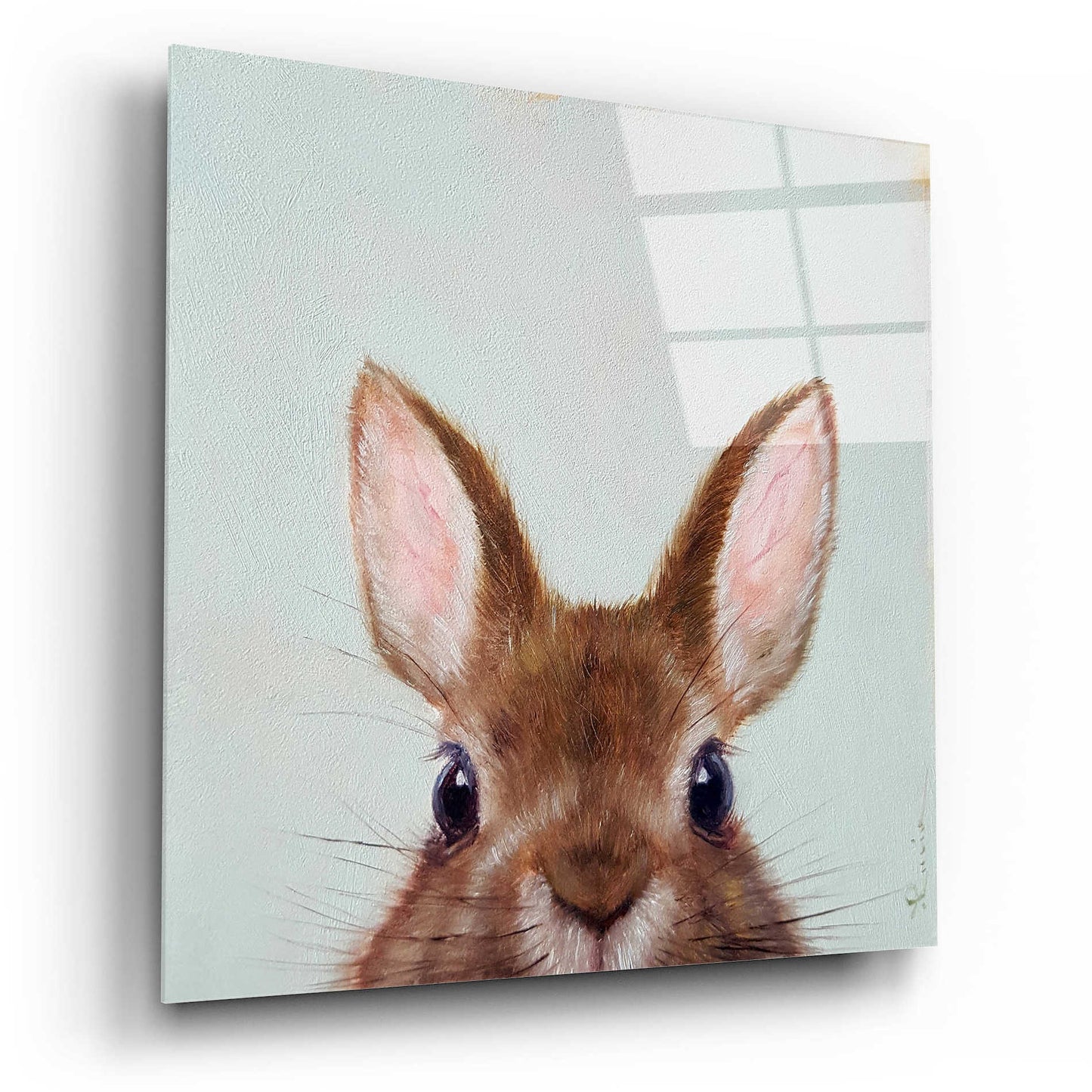 Epic Art 'Peek a Boo' by Lucia Heffernan, Acrylic Glass Wall Art,12x12