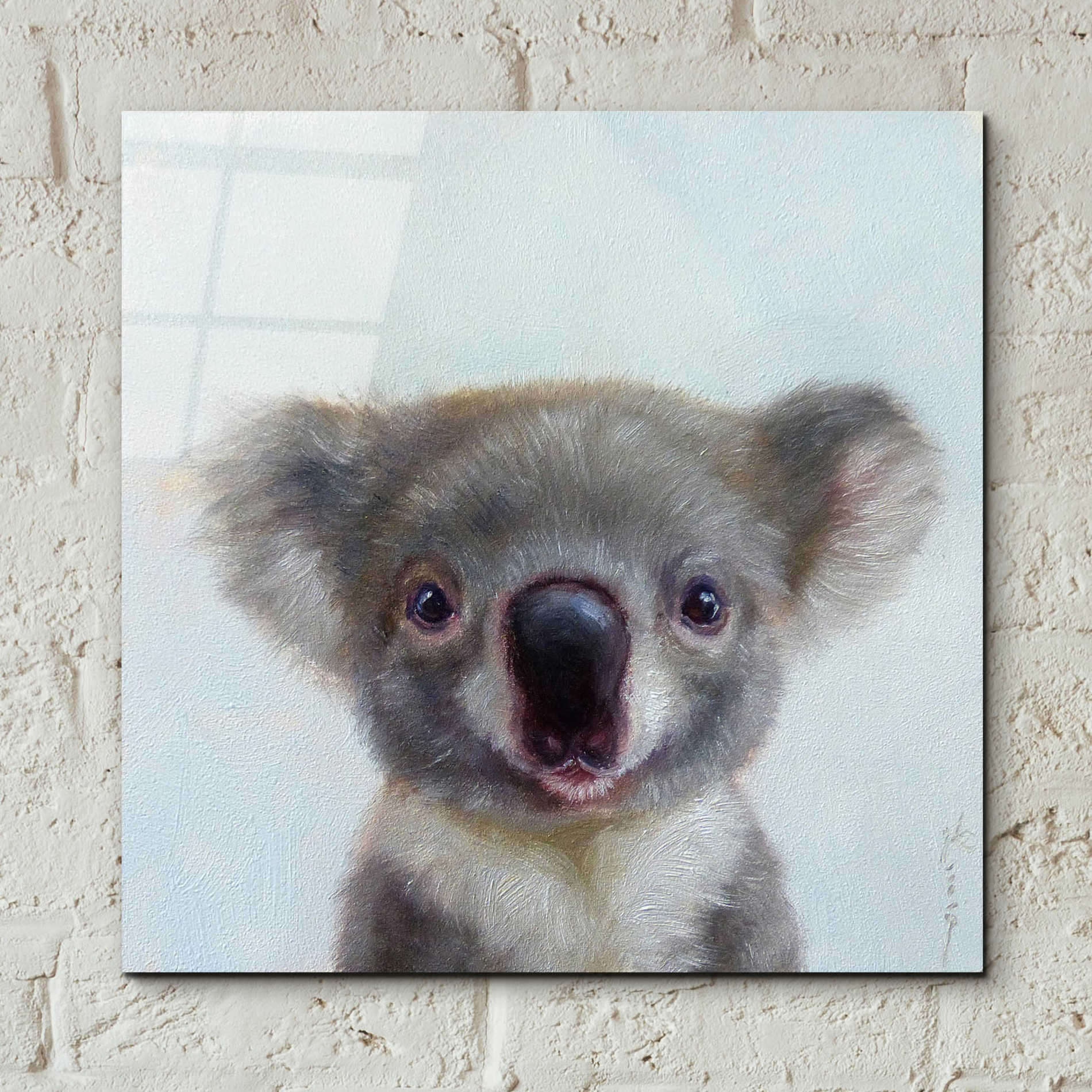 Epic Art 'Lil Koala' by Lucia Heffernan, Acrylic Glass Wall Art,12x12