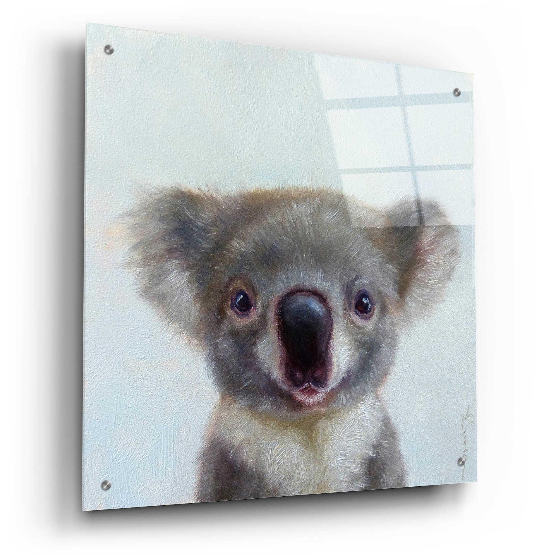 Epic Art 'Lil Koala' by Lucia Heffernan, Acrylic Glass Wall Art,24x24