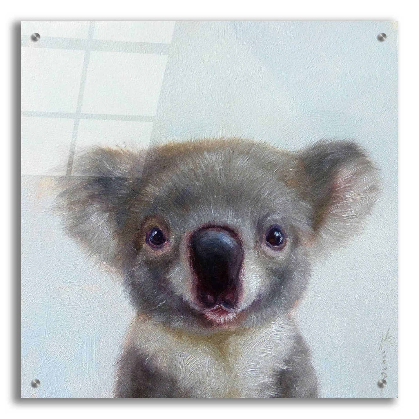Epic Art 'Lil Koala' by Lucia Heffernan, Acrylic Glass Wall Art,24x24