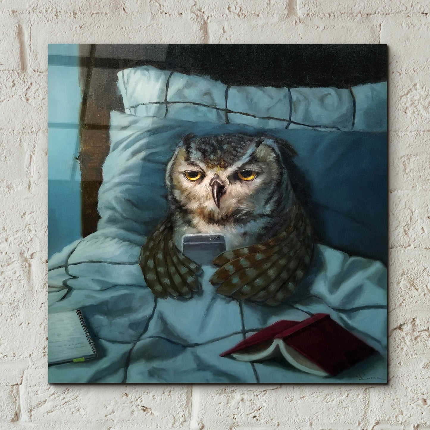 Epic Art 'Night Owl' by Lucia Heffernan, Acrylic Glass Wall Art,12x12