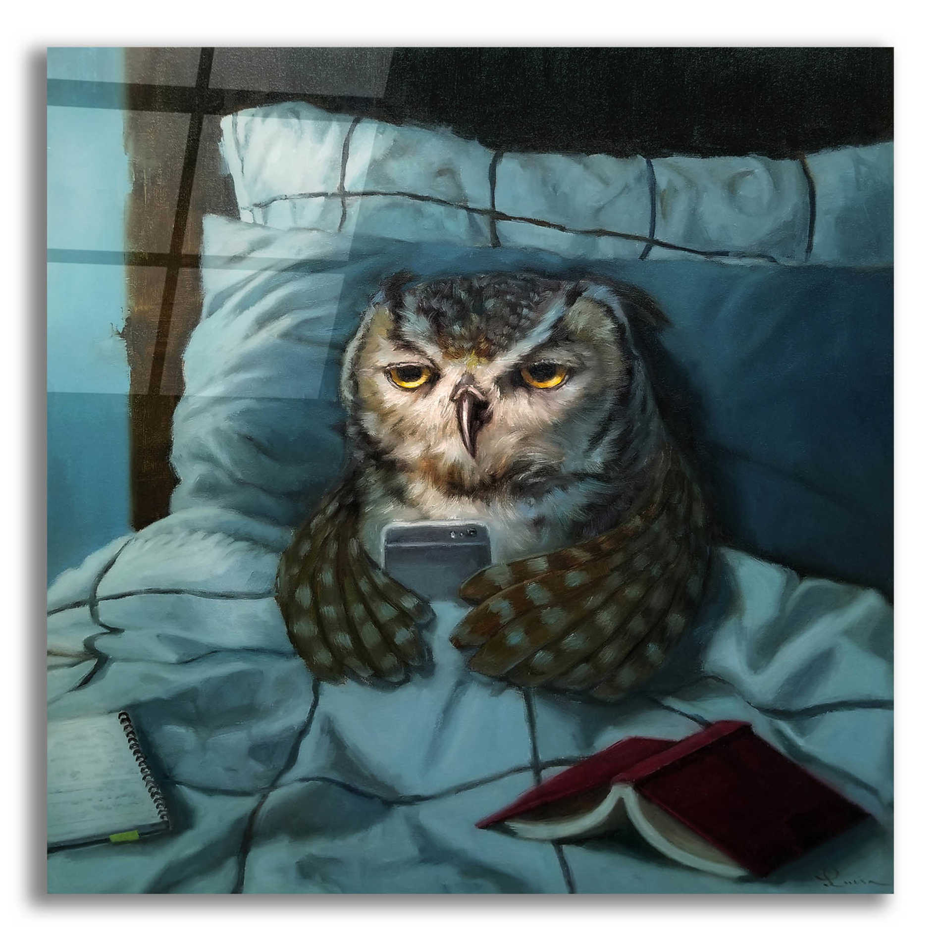 Epic Art 'Night Owl' by Lucia Heffernan, Acrylic Glass Wall Art,12x12