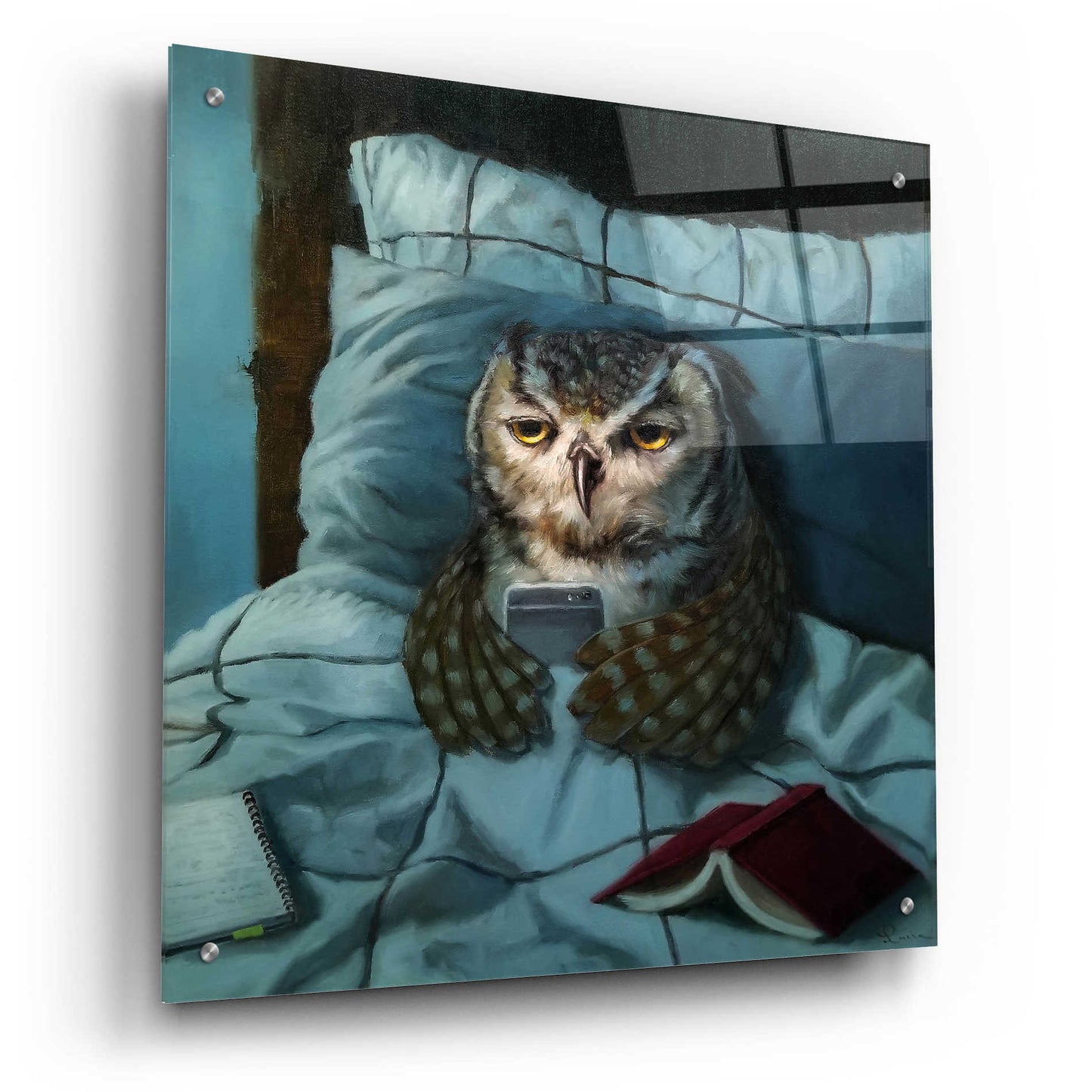 Epic Art 'Night Owl' by Lucia Heffernan, Acrylic Glass Wall Art,24x24