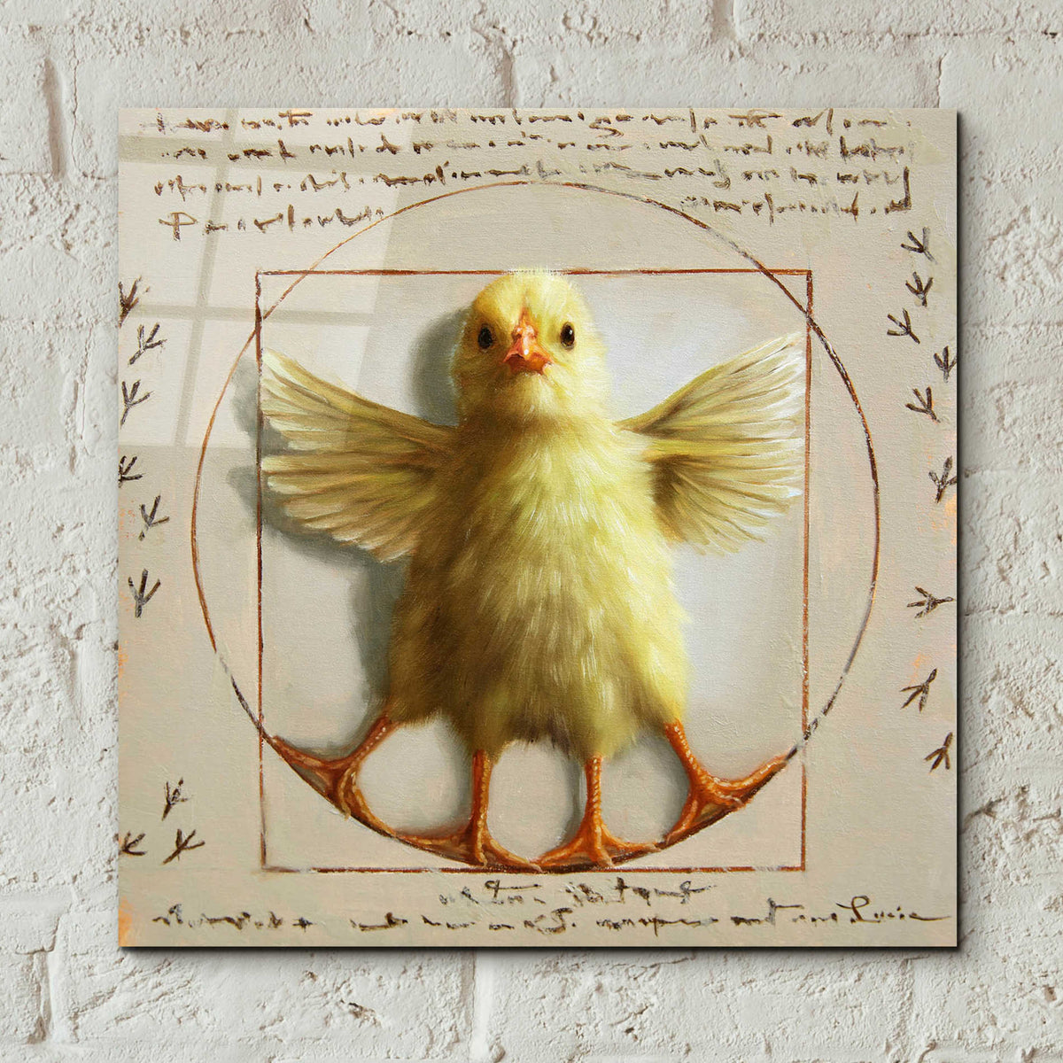 Epic Art 'Vitruvian Chick' by Lucia Heffernan, Acrylic Glass Wall Art,12x12