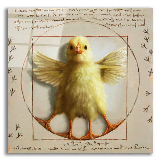 Epic Art 'Vitruvian Chick' by Lucia Heffernan, Acrylic Glass Wall Art