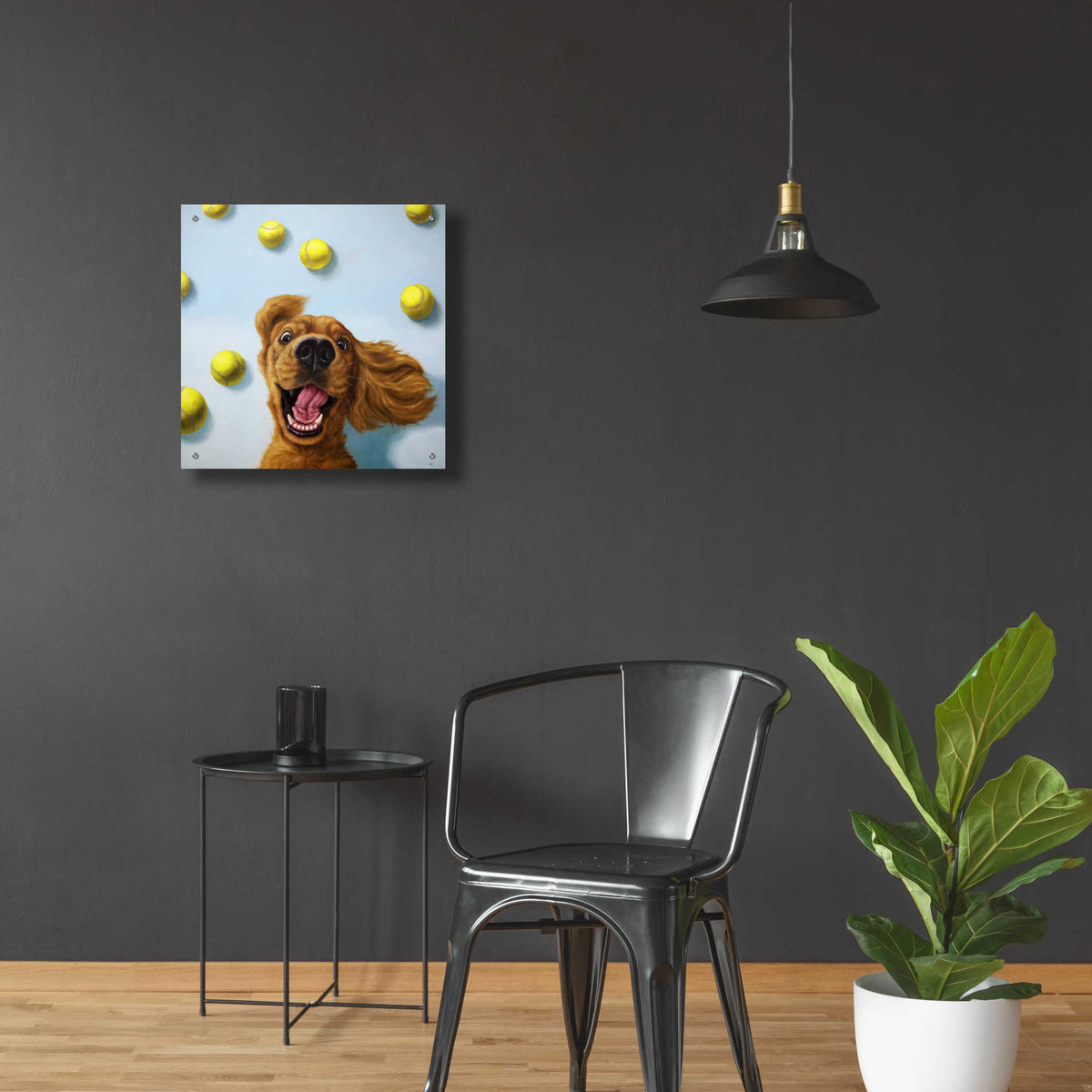 Epic Art 'Ball Boy' by Lucia Heffernan, Acrylic Glass Wall Art,24x24