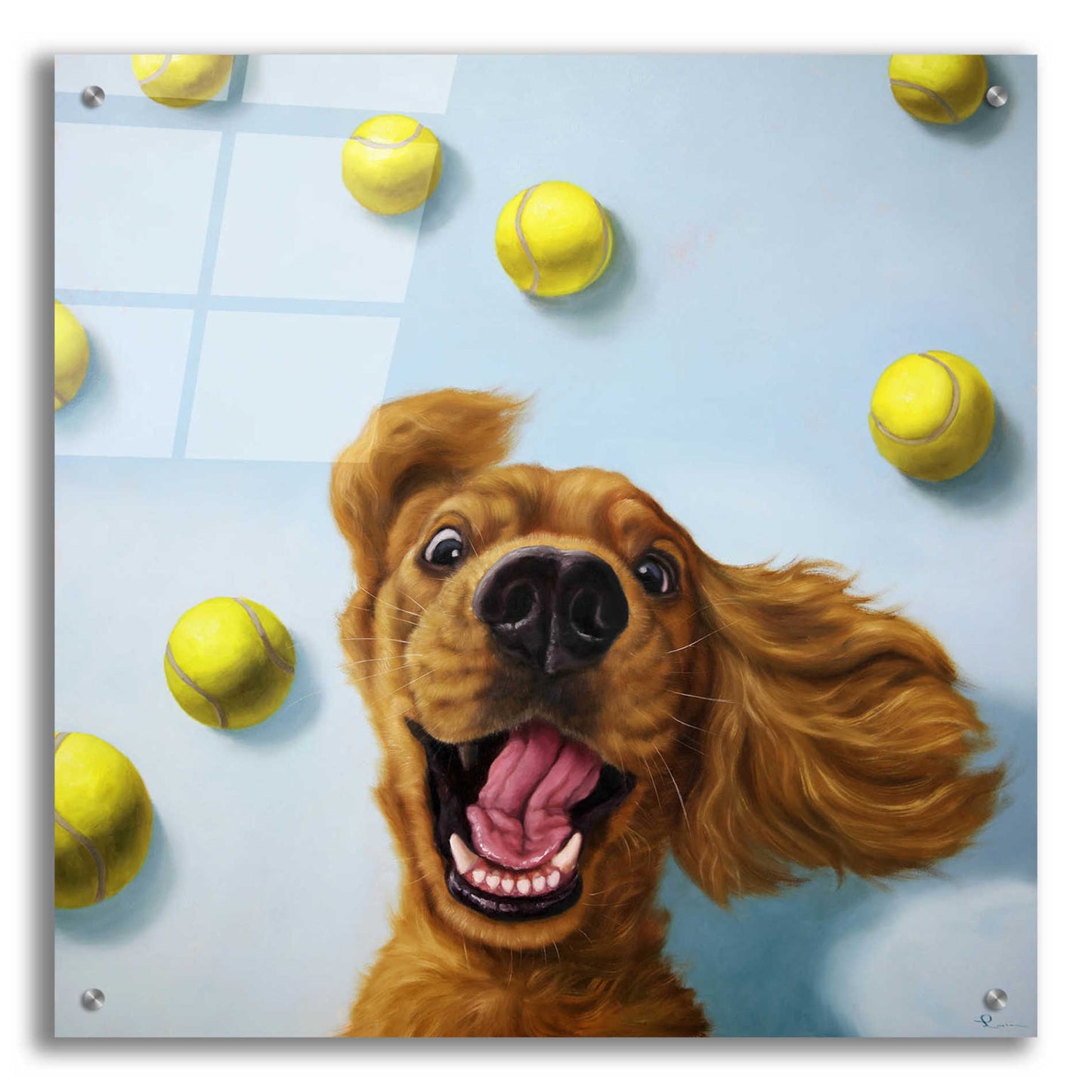 Epic Art 'Ball Boy' by Lucia Heffernan, Acrylic Glass Wall Art,24x24