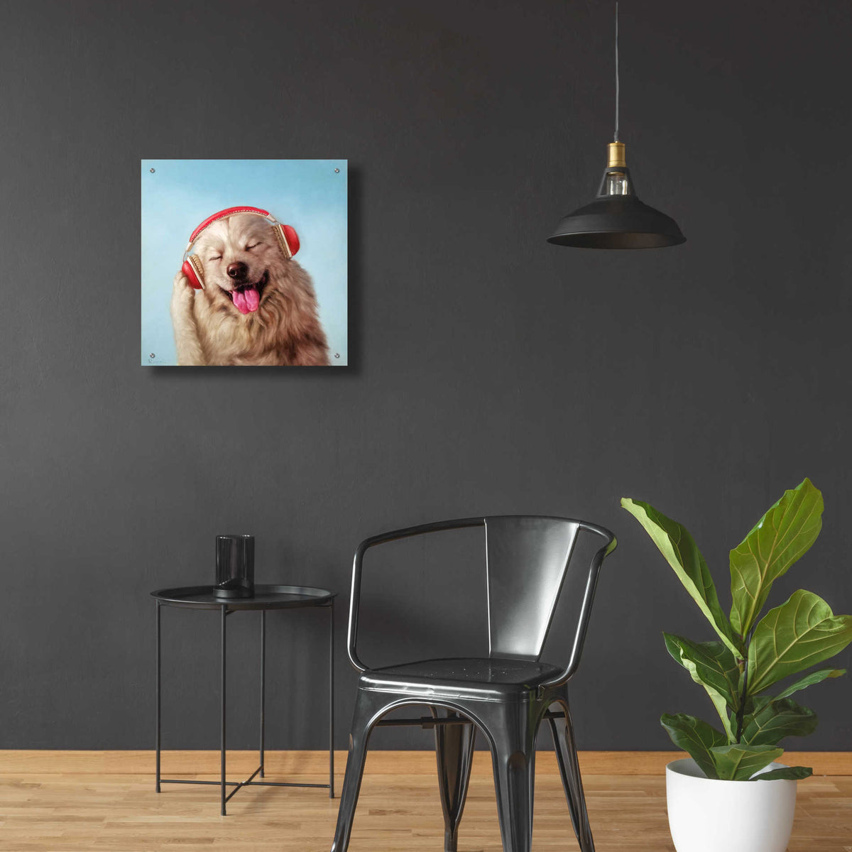 Epic Art 'Woof Jam' by Lucia Heffernan, Acrylic Glass Wall Art,24x24
