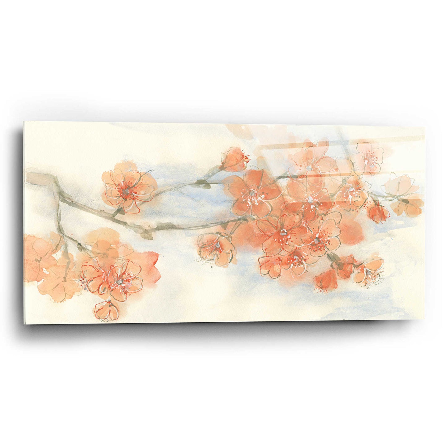 Epic Art 'Peach Blossom I' by Chris Paschke, Acrylic Glass Wall Art,24x12