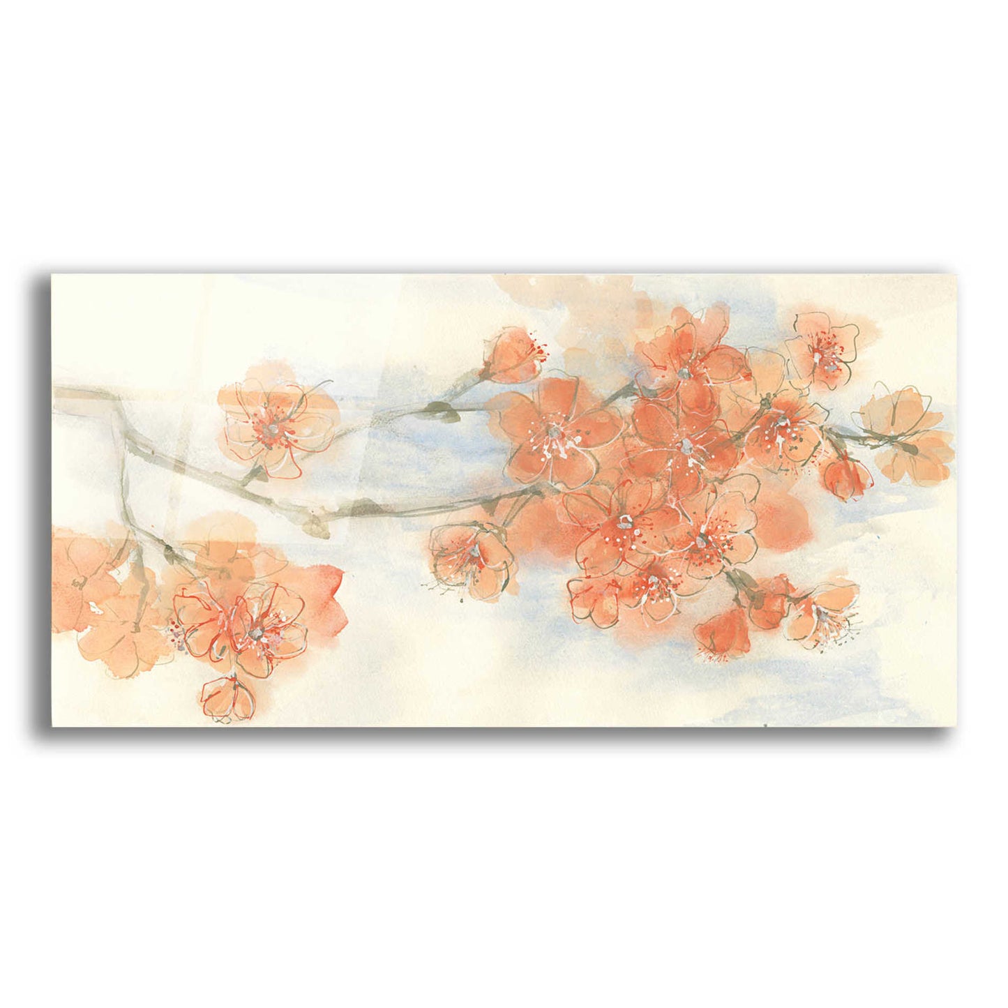 Epic Art 'Peach Blossom I' by Chris Paschke, Acrylic Glass Wall Art,24x12