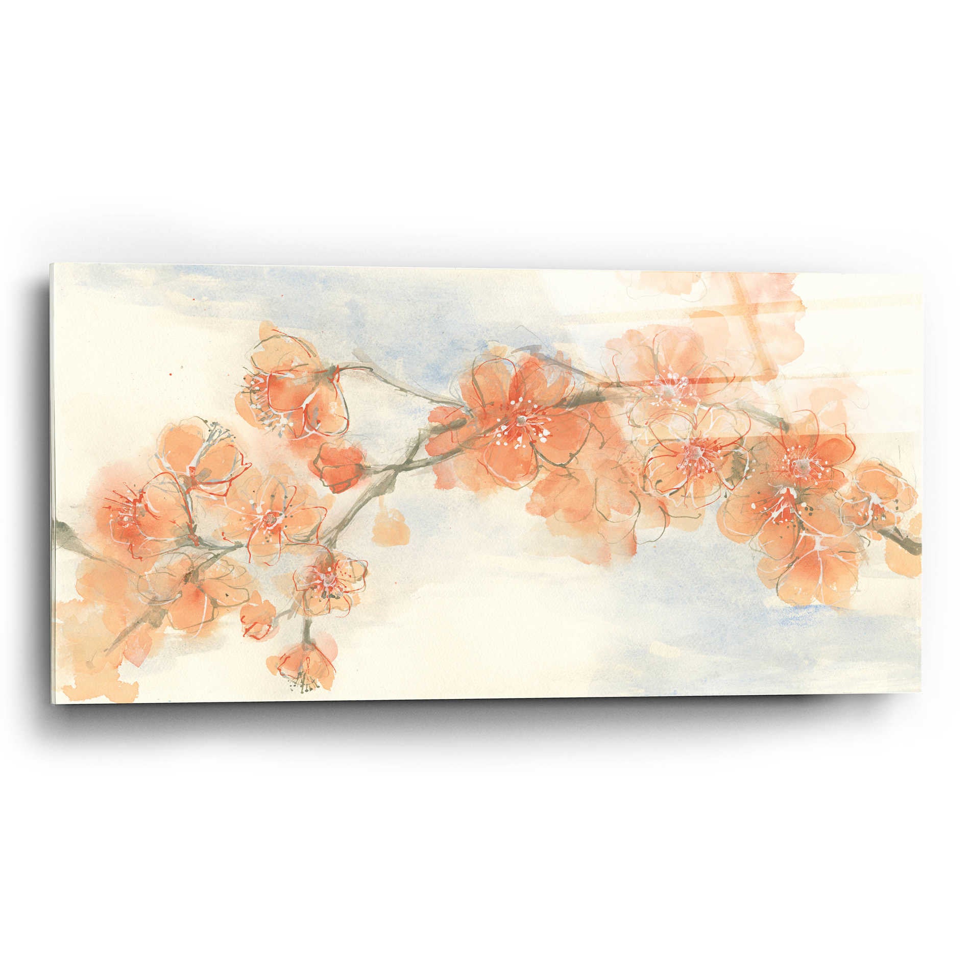 Epic Art 'Peach Blossom II' by Chris Paschke, Acrylic Glass Wall Art,24x12