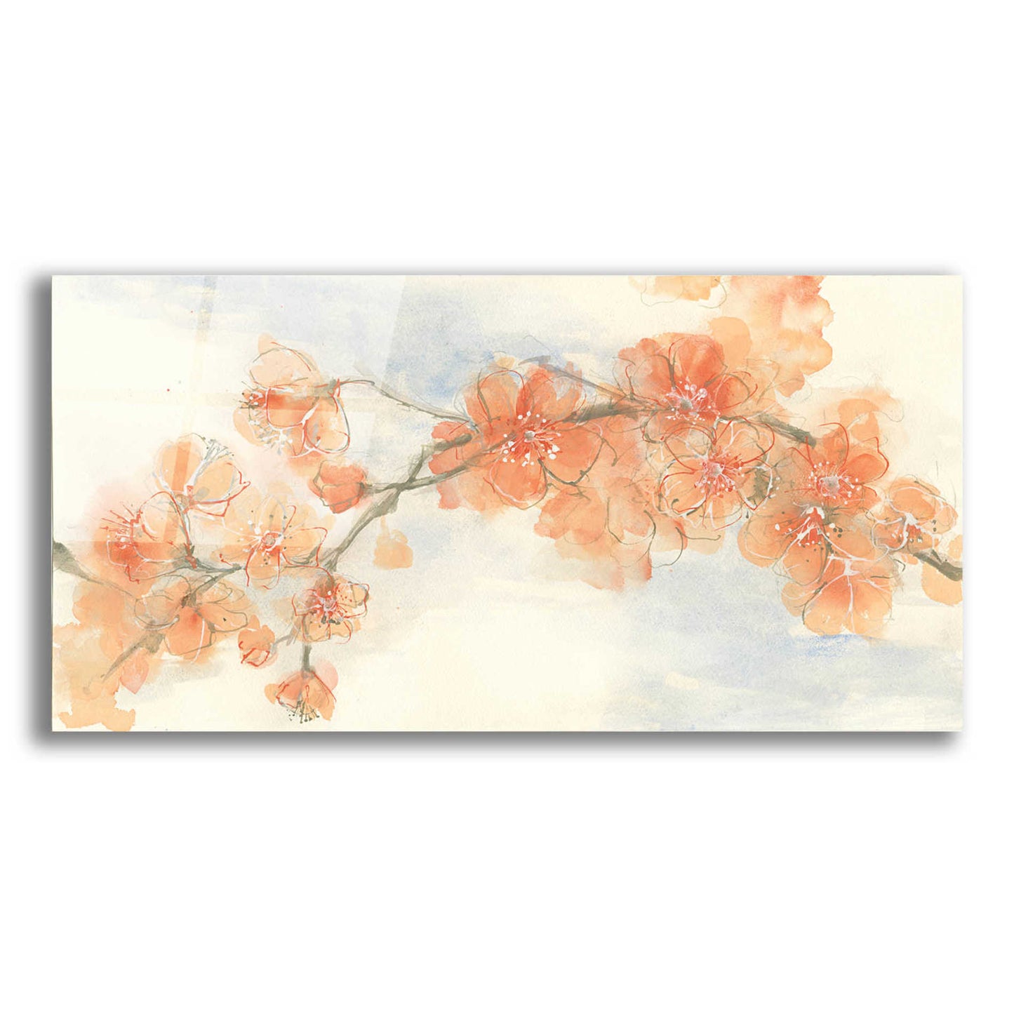 Epic Art 'Peach Blossom II' by Chris Paschke, Acrylic Glass Wall Art,24x12