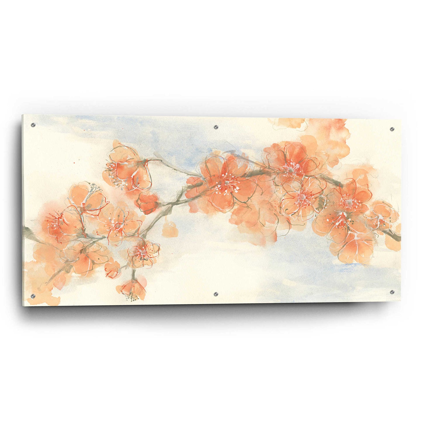 Epic Art 'Peach Blossom II' by Chris Paschke, Acrylic Glass Wall Art,48x24