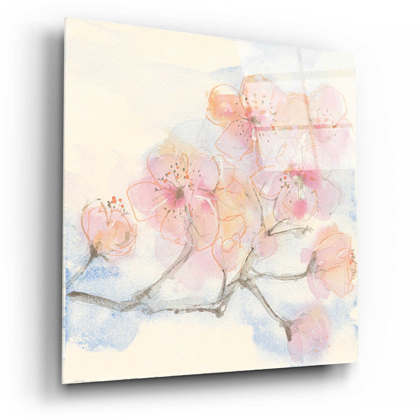 Epic Art 'Pink Blossoms III' by Chris Paschke, Acrylic Glass Wall Art,12x12