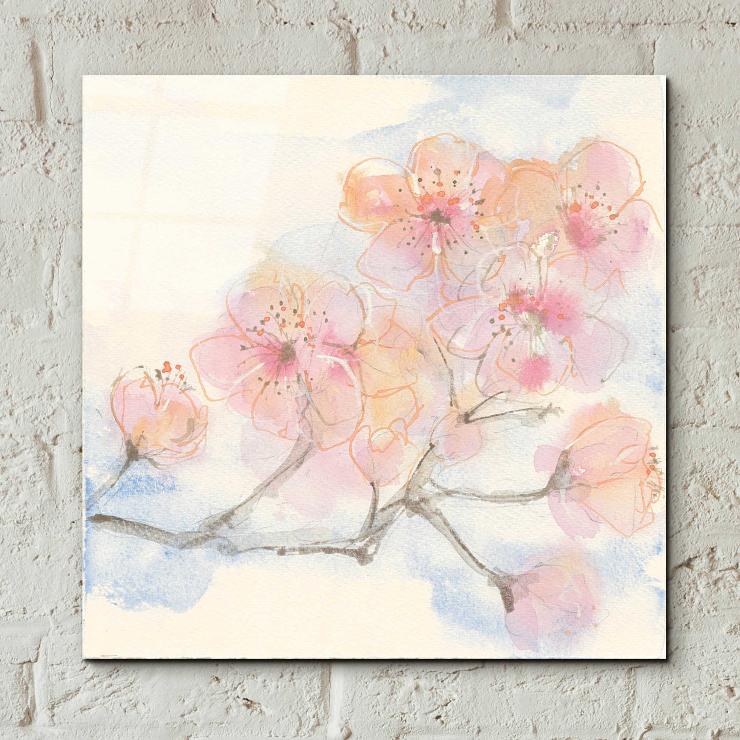 Epic Art 'Pink Blossoms III' by Chris Paschke, Acrylic Glass Wall Art,12x12