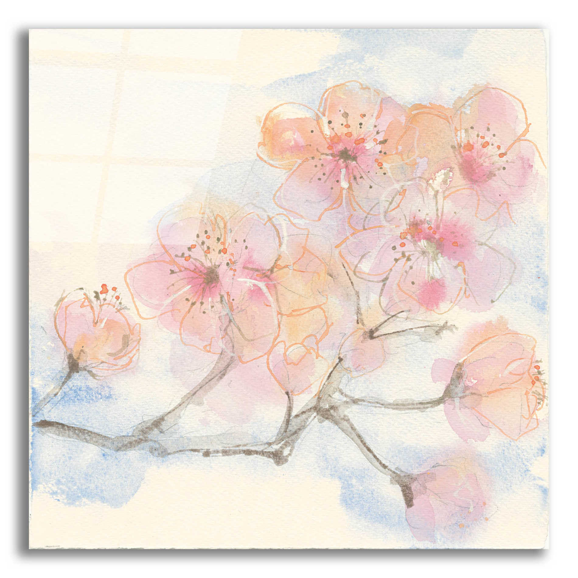 Epic Art 'Pink Blossoms III' by Chris Paschke, Acrylic Glass Wall Art,12x12