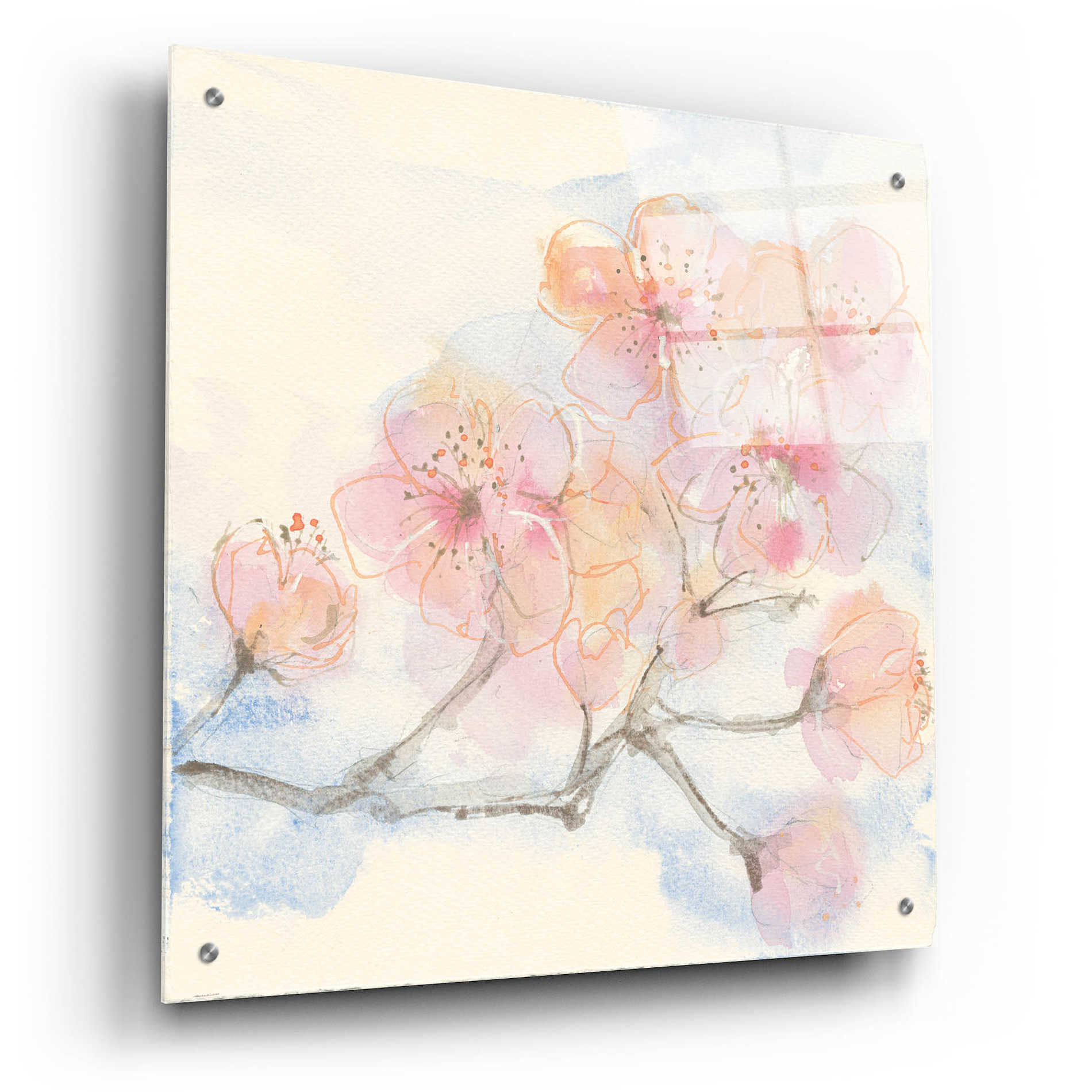 Epic Art 'Pink Blossoms III' by Chris Paschke, Acrylic Glass Wall Art,24x24