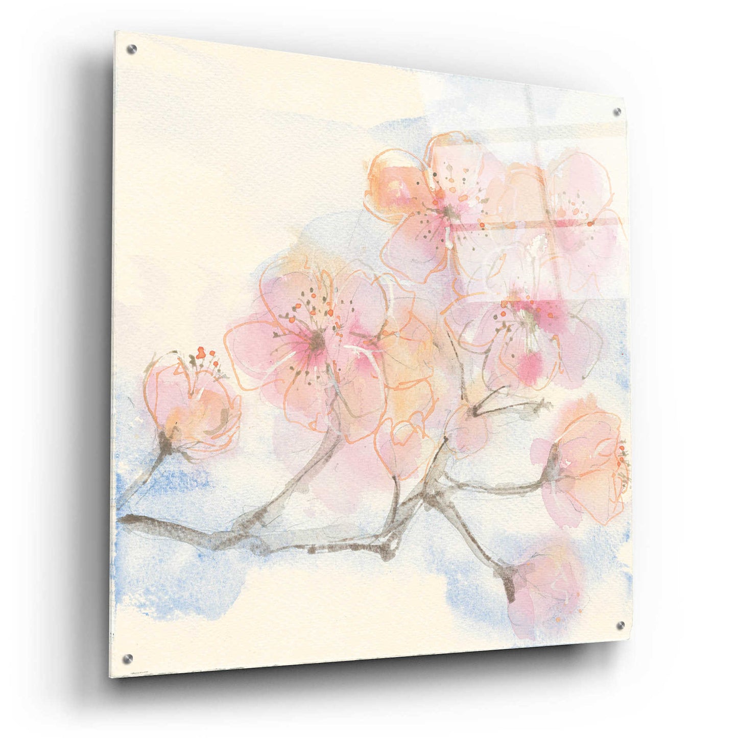 Epic Art 'Pink Blossoms III' by Chris Paschke, Acrylic Glass Wall Art,36x36