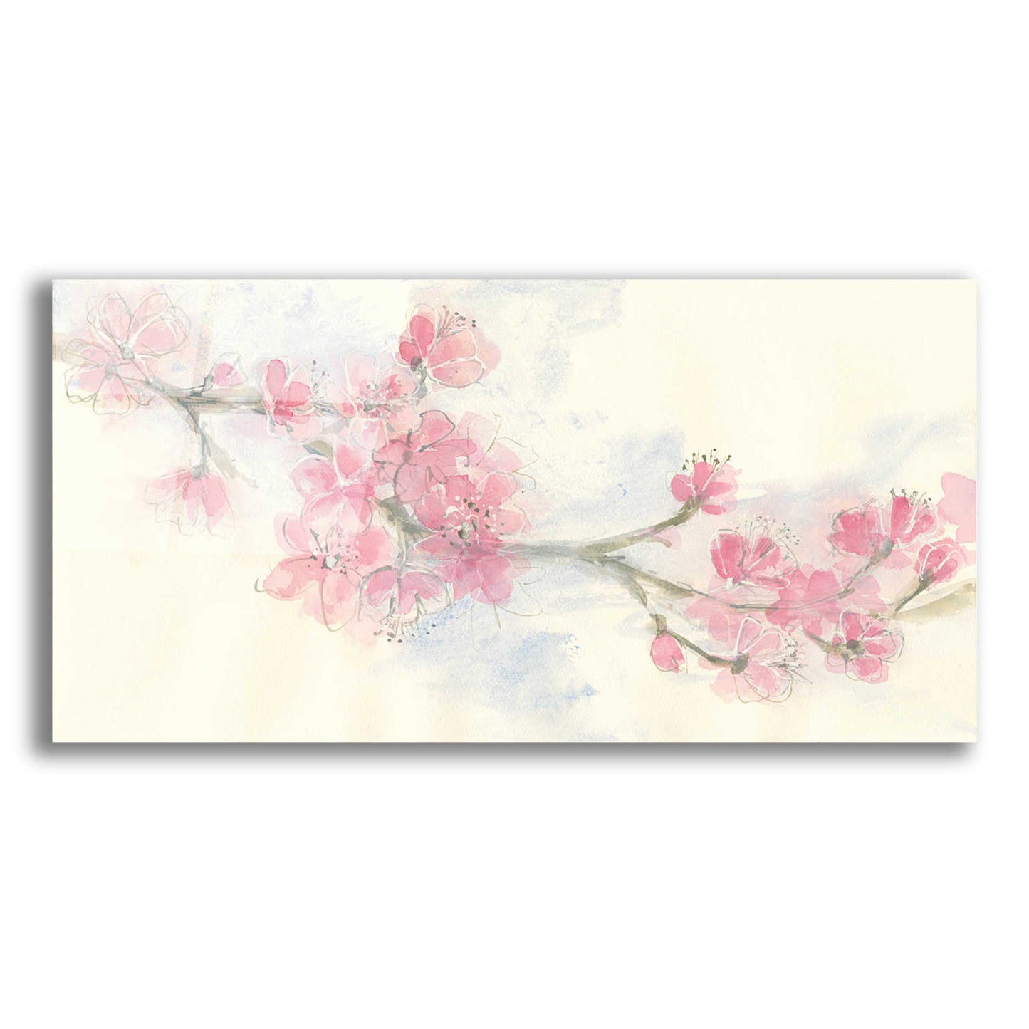 Epic Art 'Cherry Blossom II' by Chris Paschke, Acrylic Glass Wall Art,24x12