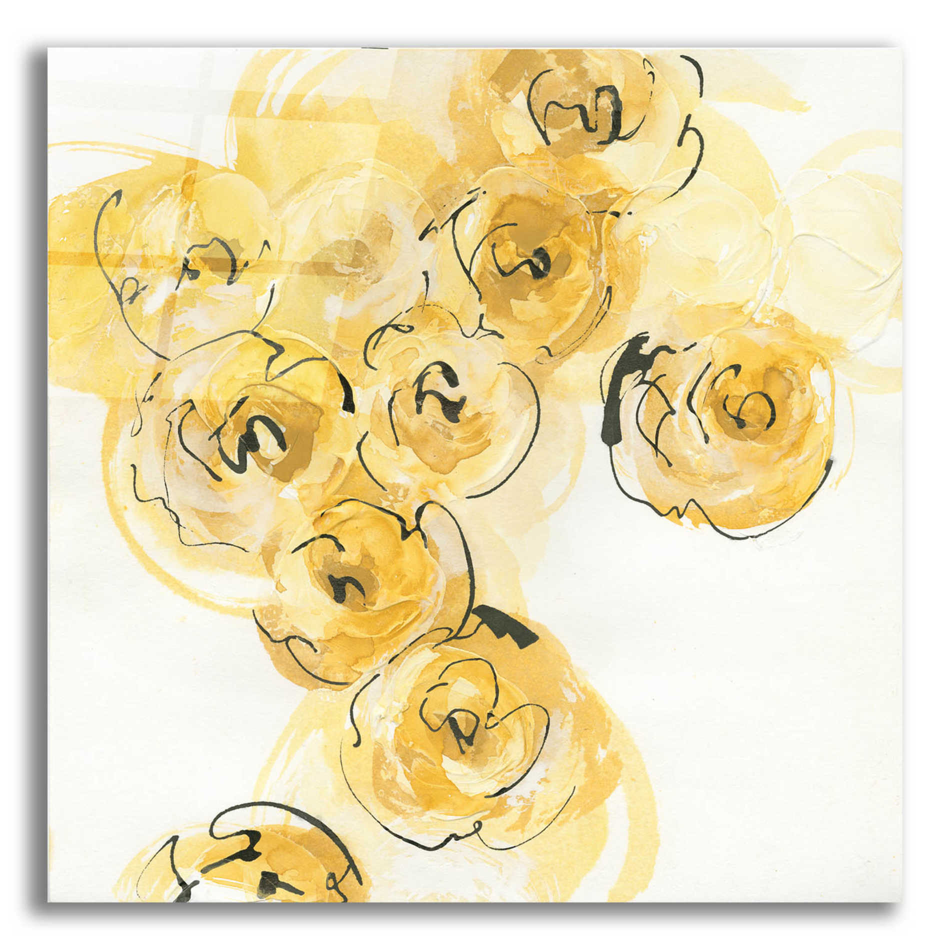 Epic Art 'Yellow Roses Anew I' by Chris Paschke, Acrylic Glass Wall Art,12x12