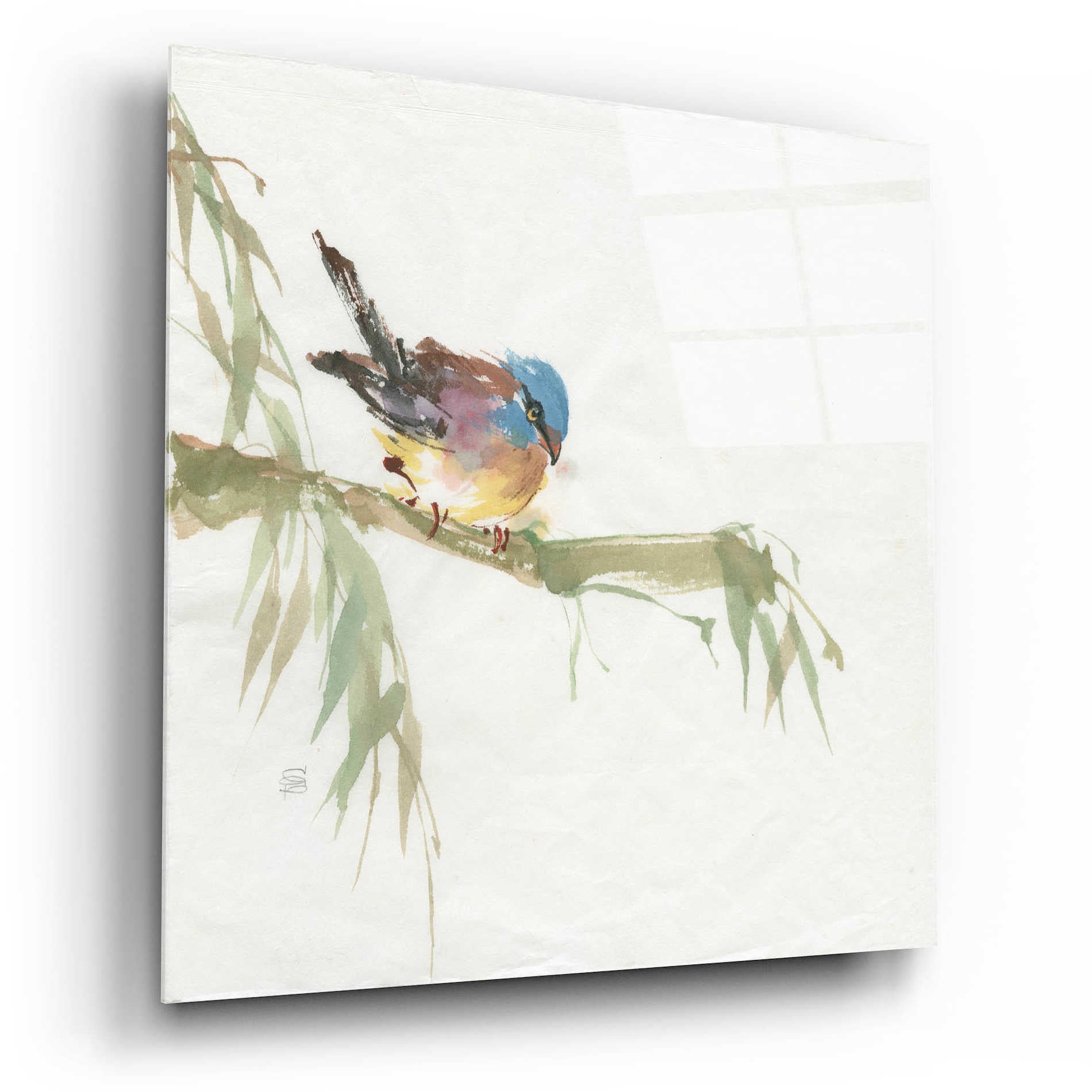 Epic Art 'Finch' by Chris Paschke, Acrylic Glass Wall Art,12x12